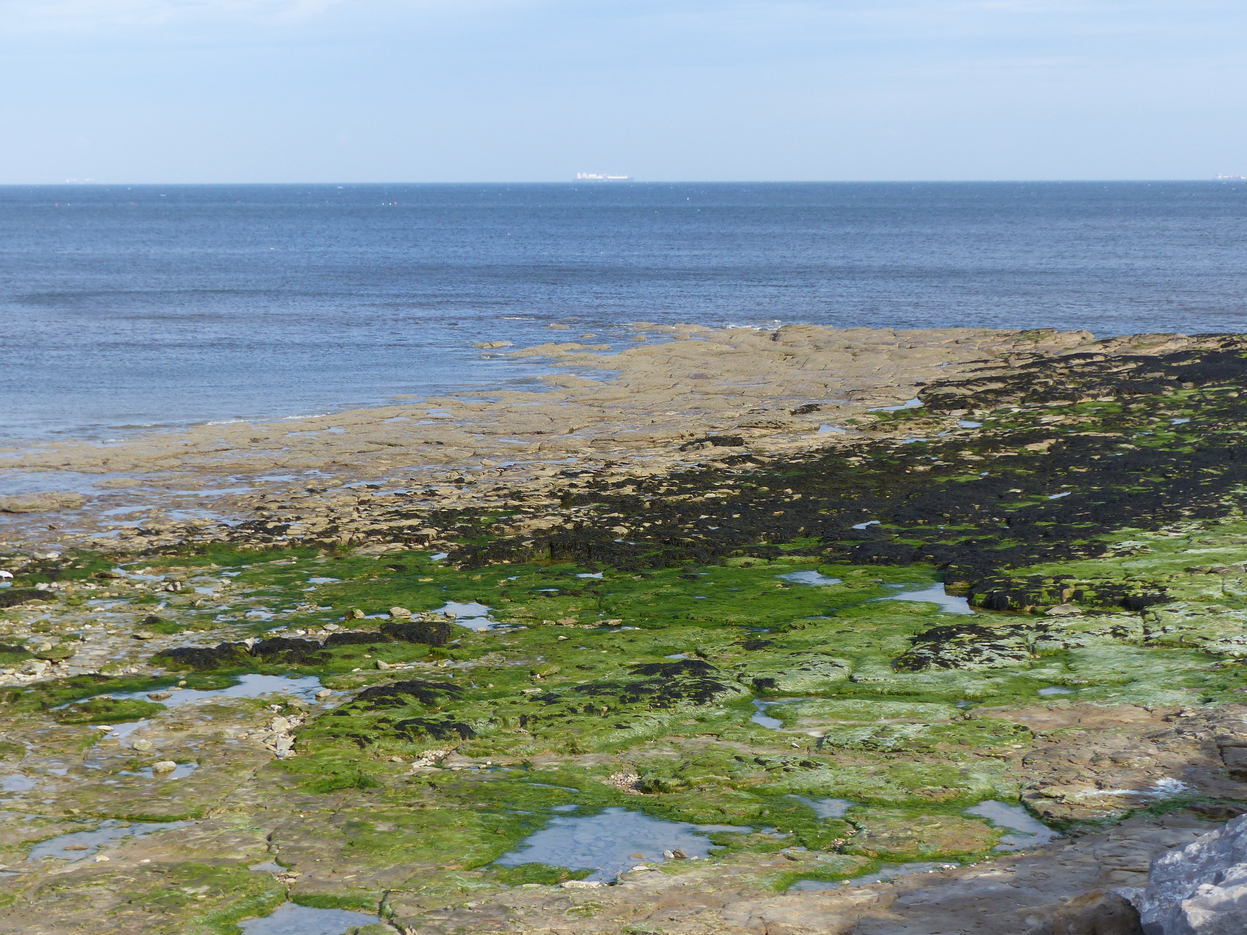 Image 93