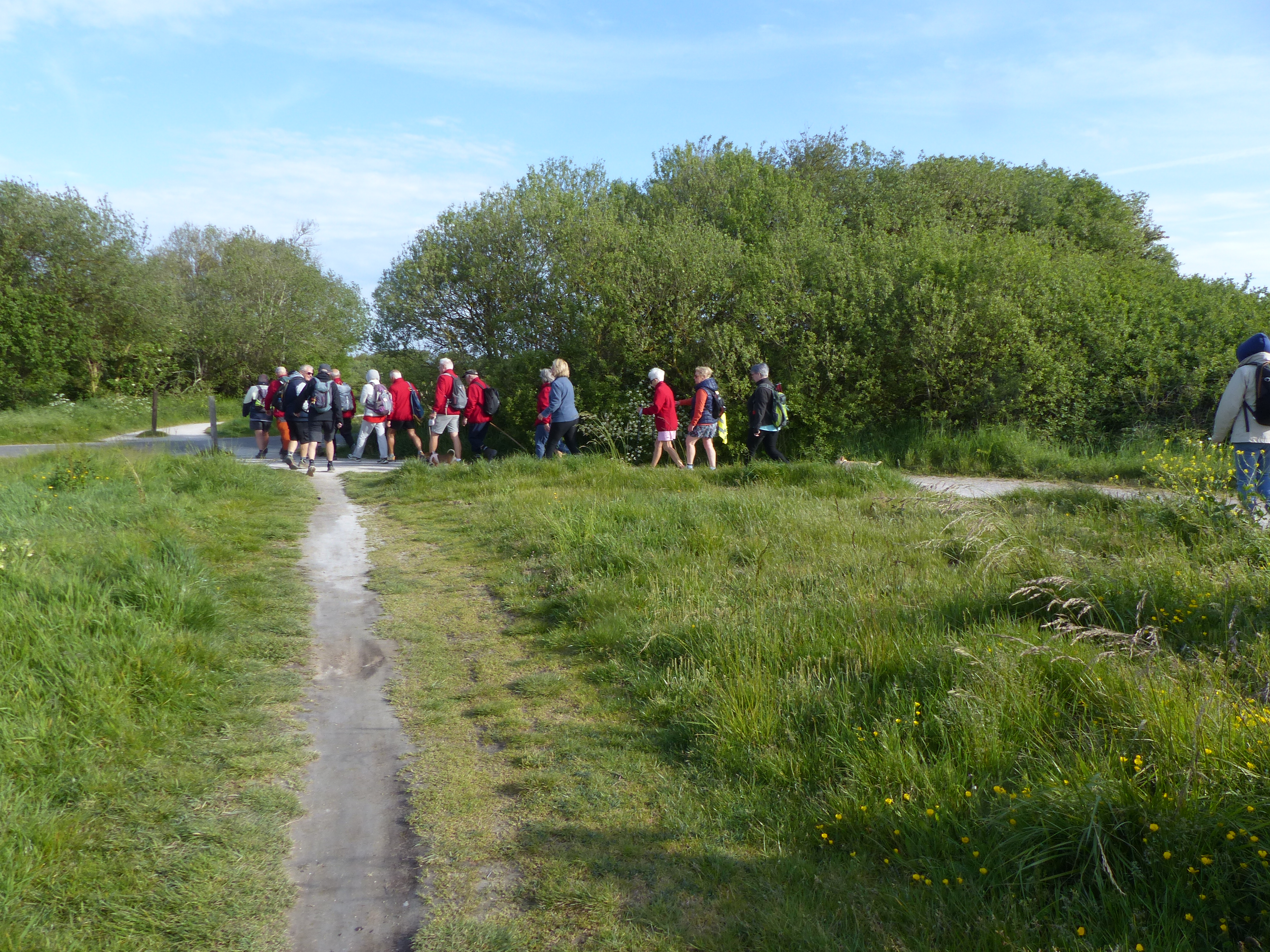 Image 73