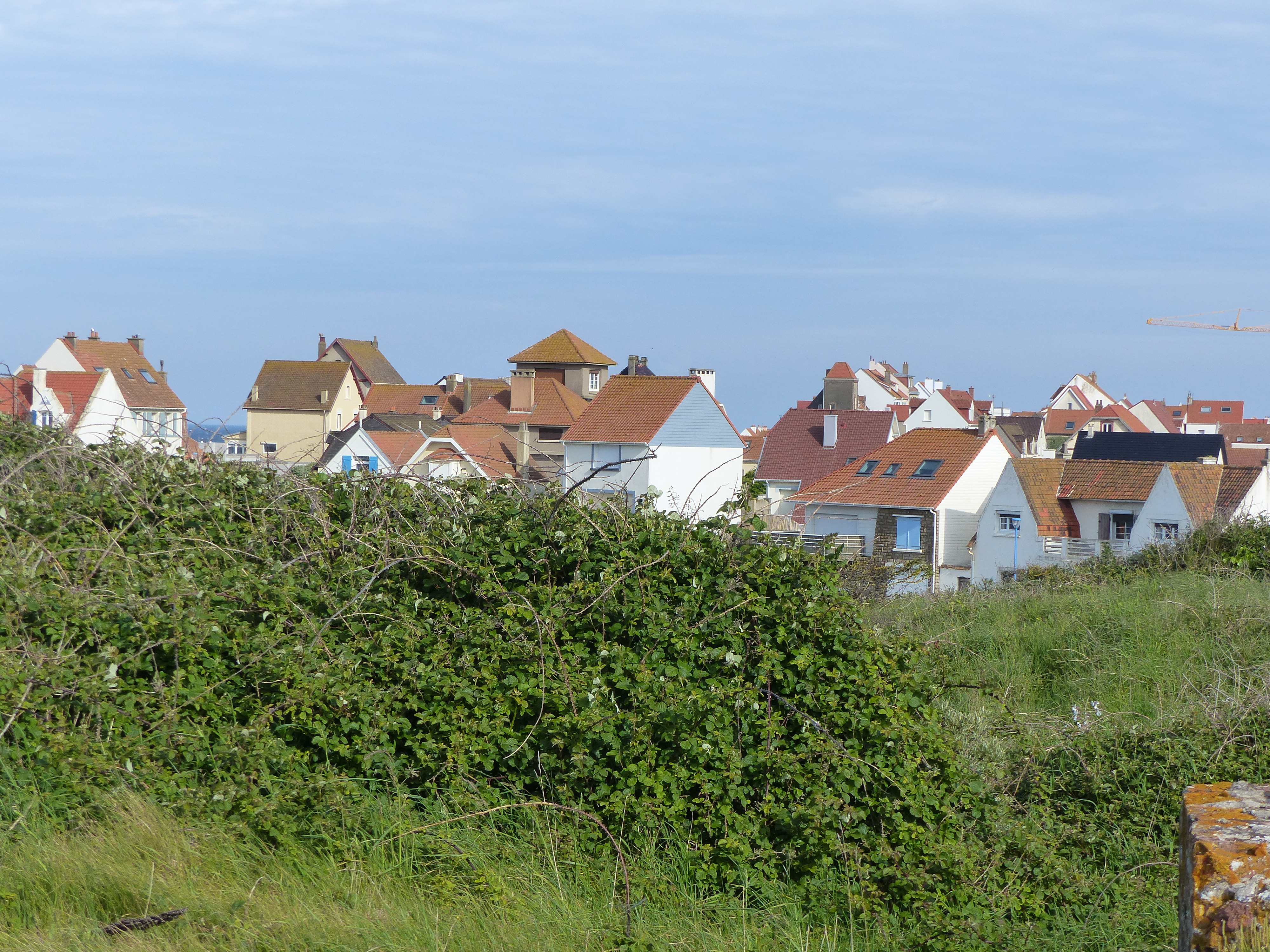 Image 159