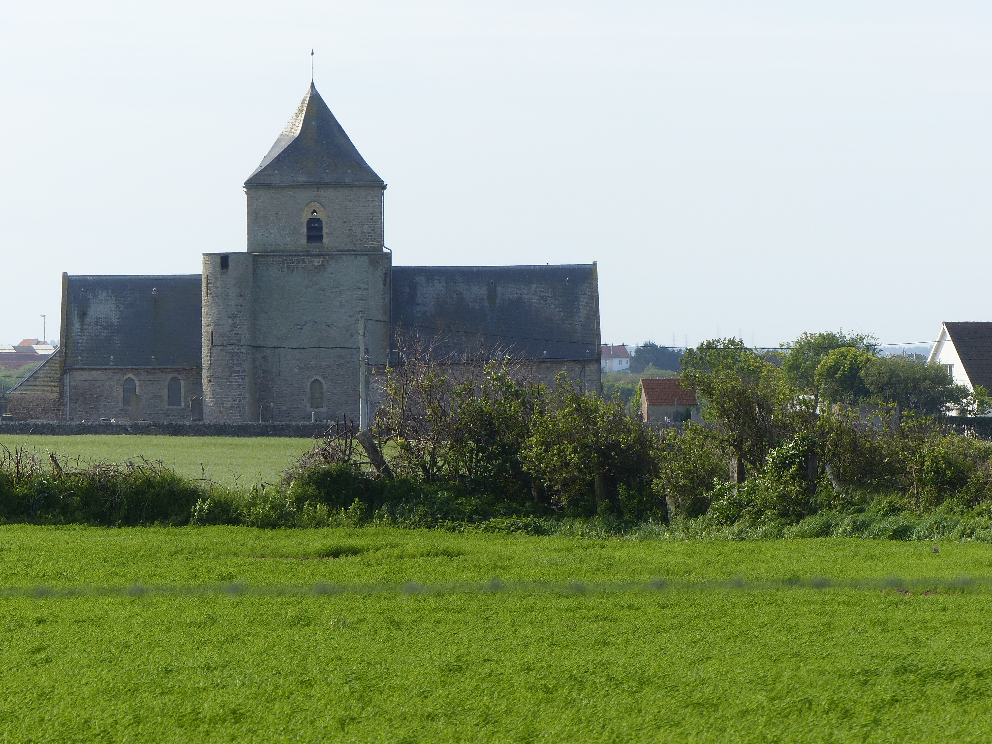 Image 135