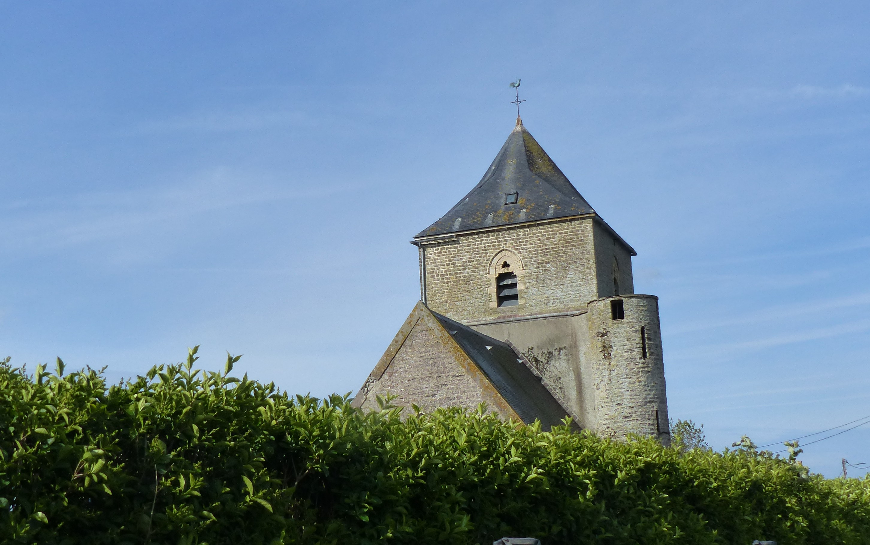 Image 241