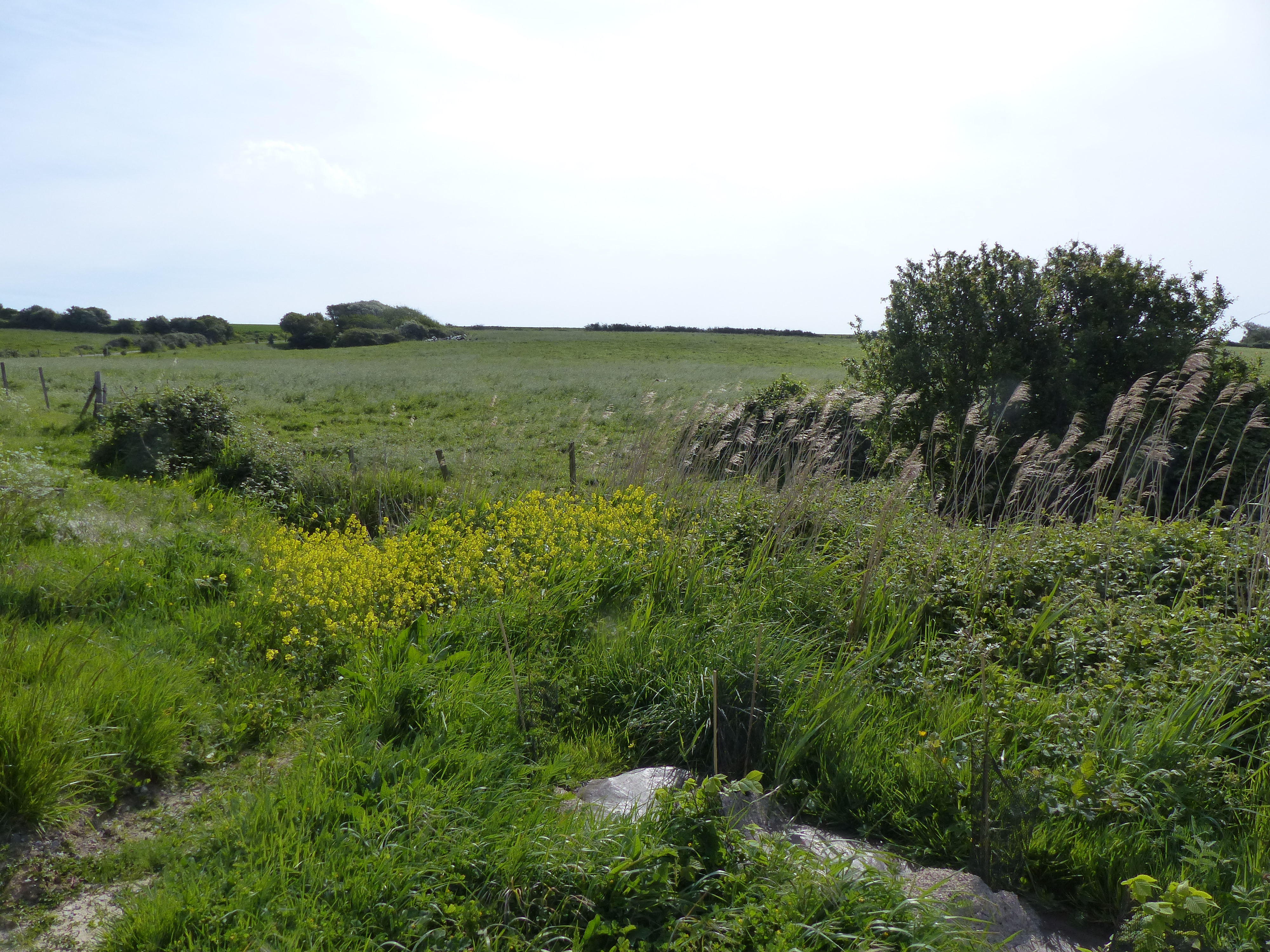 Image 279