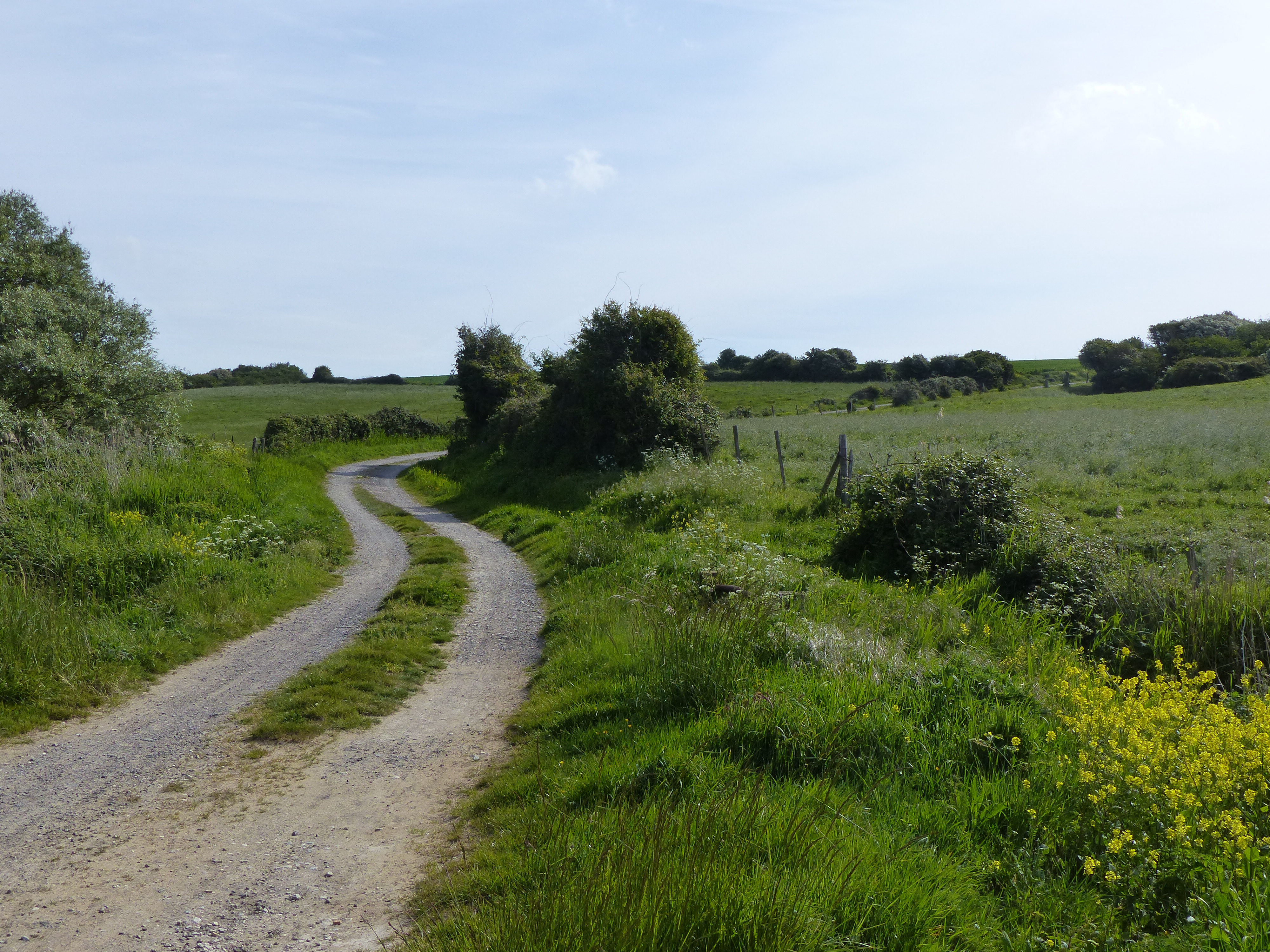 Image 233