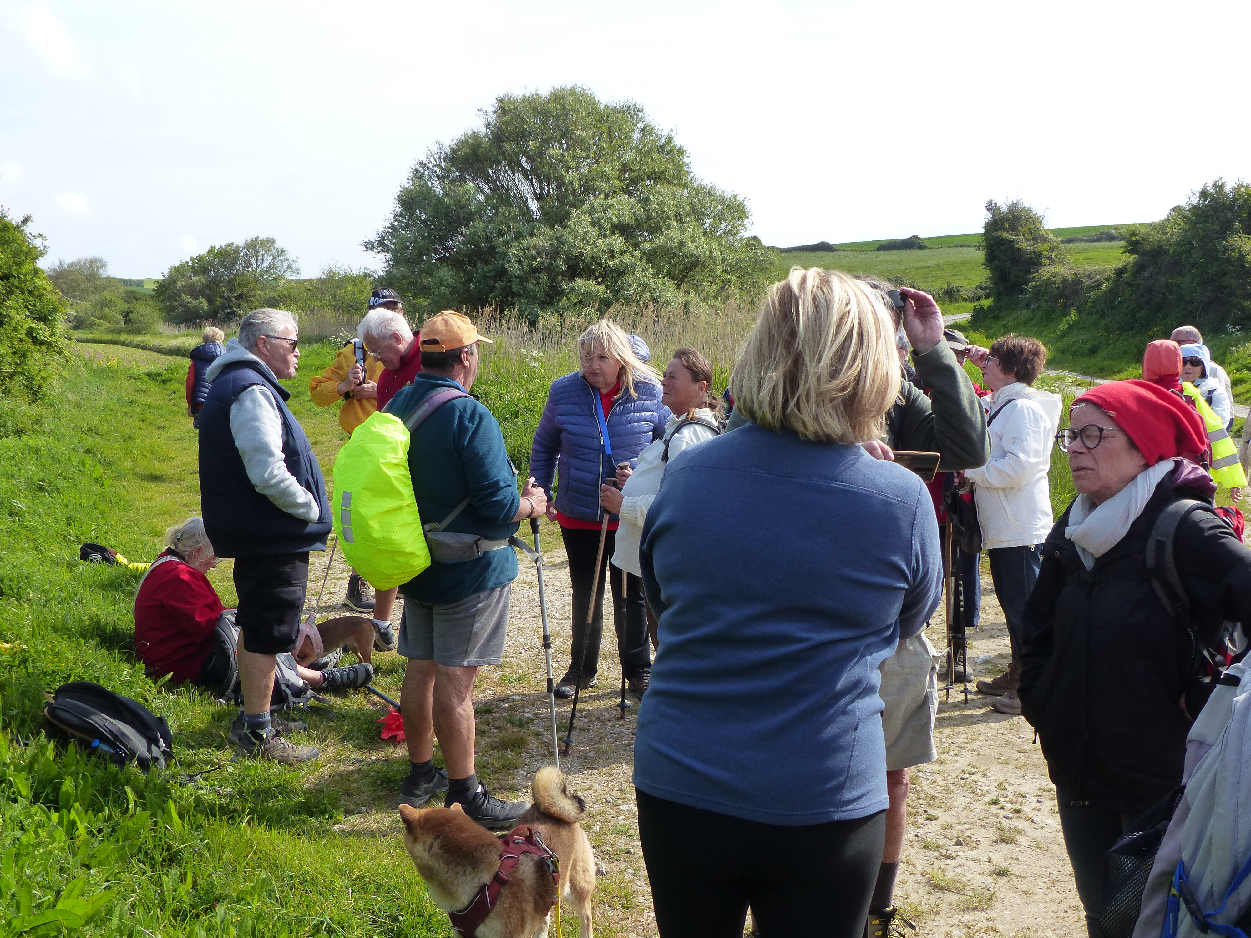 Image 171