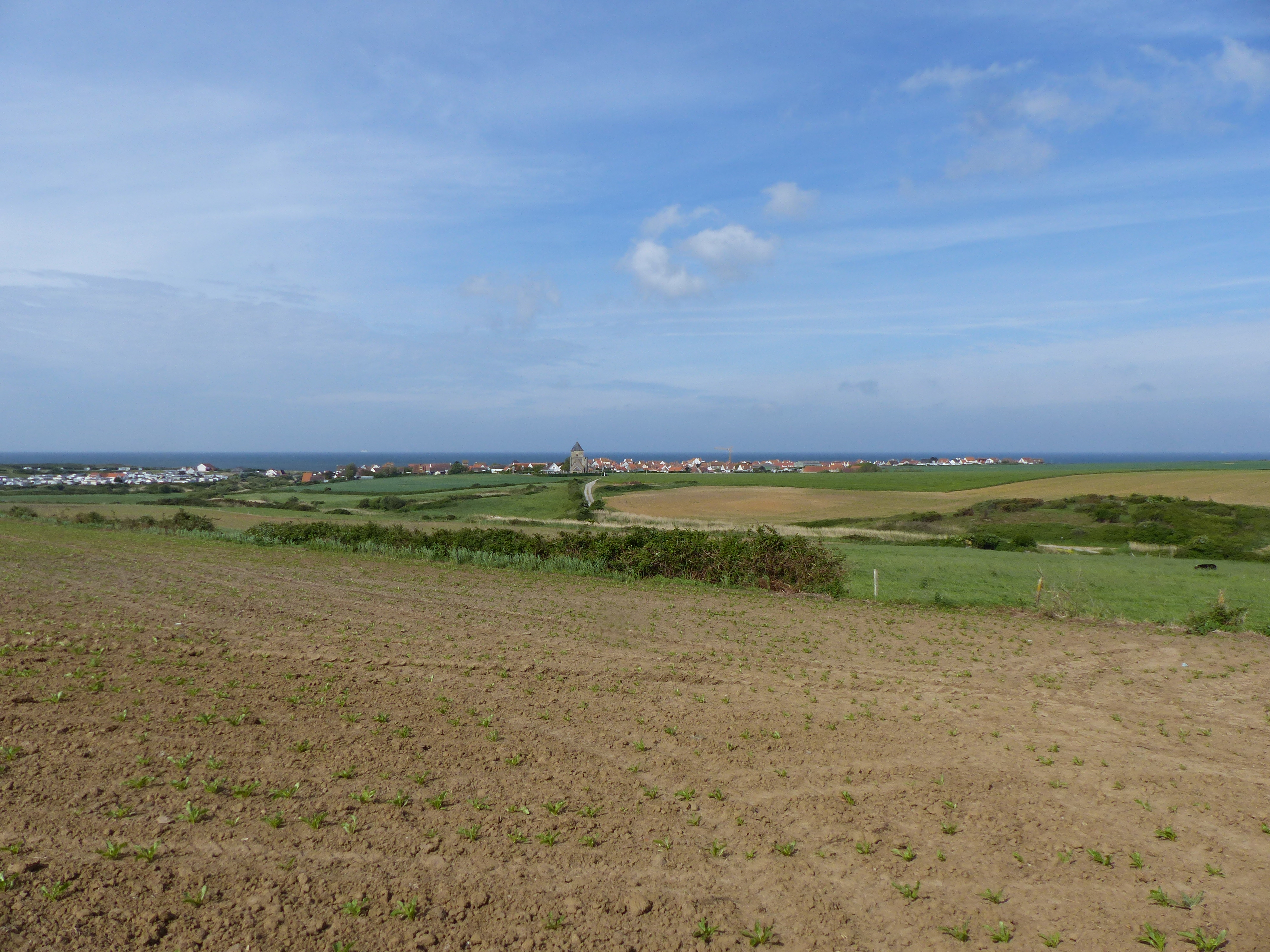 Image 52