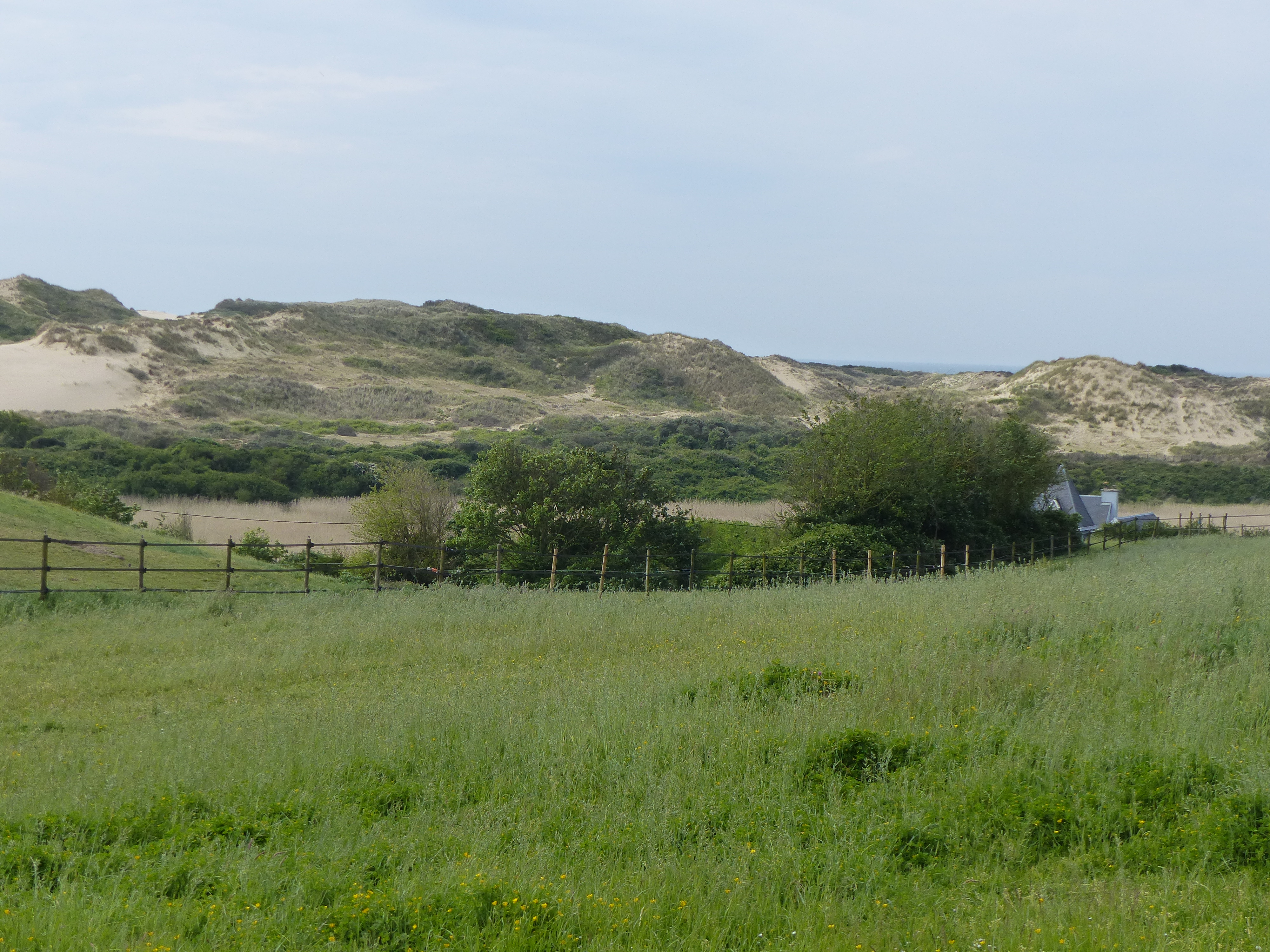 Image 191