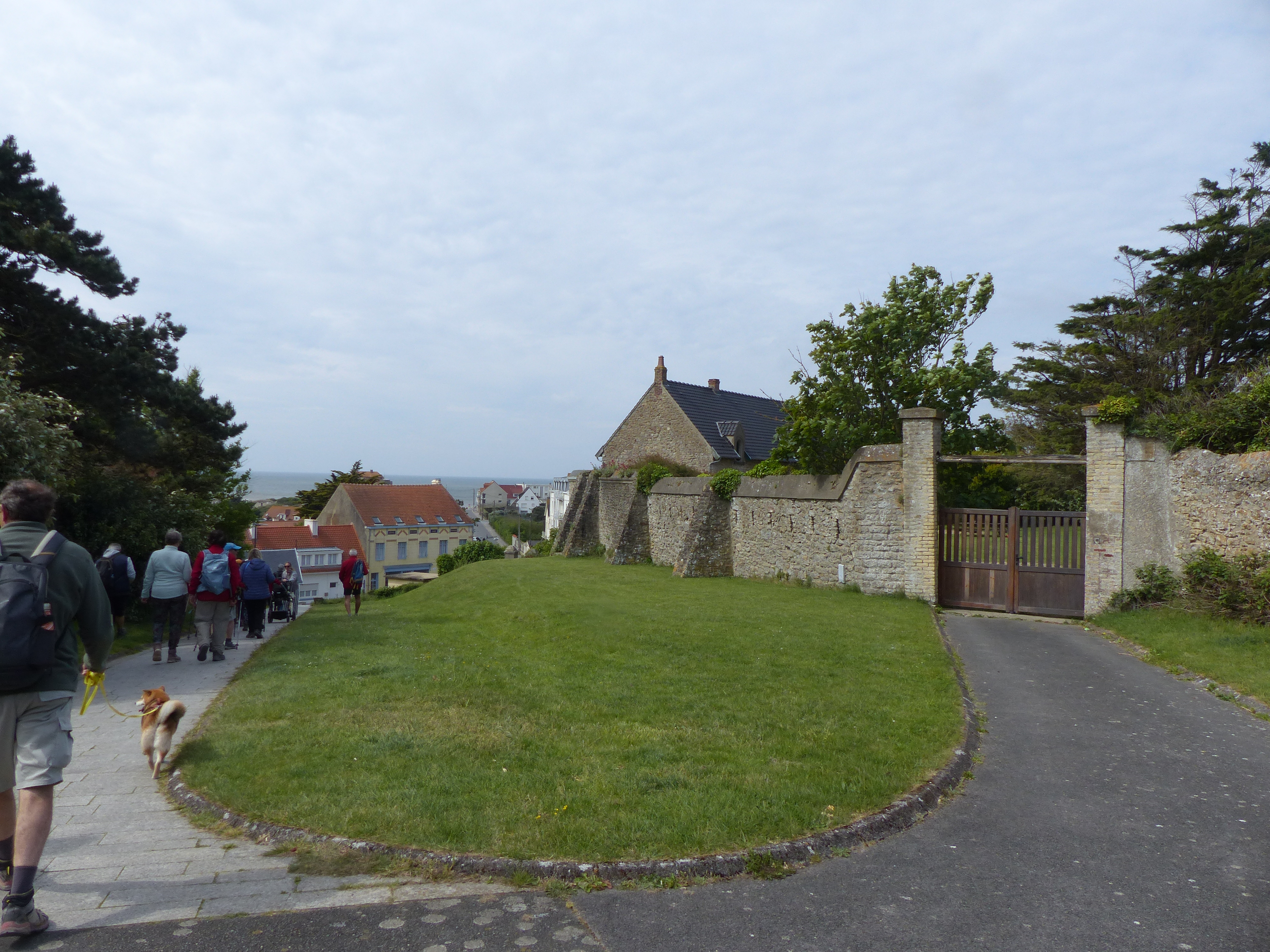 Image 164