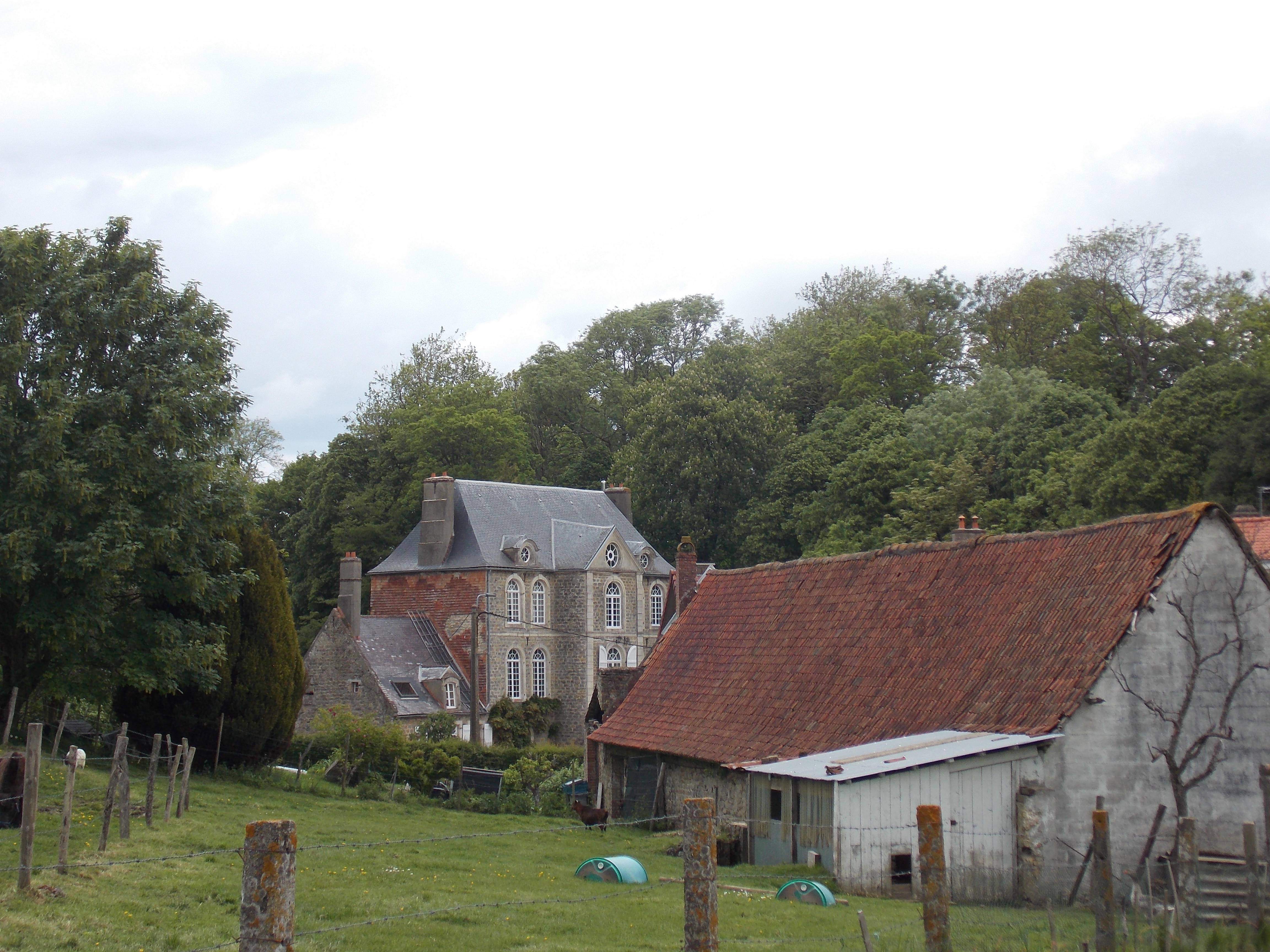 Image 46