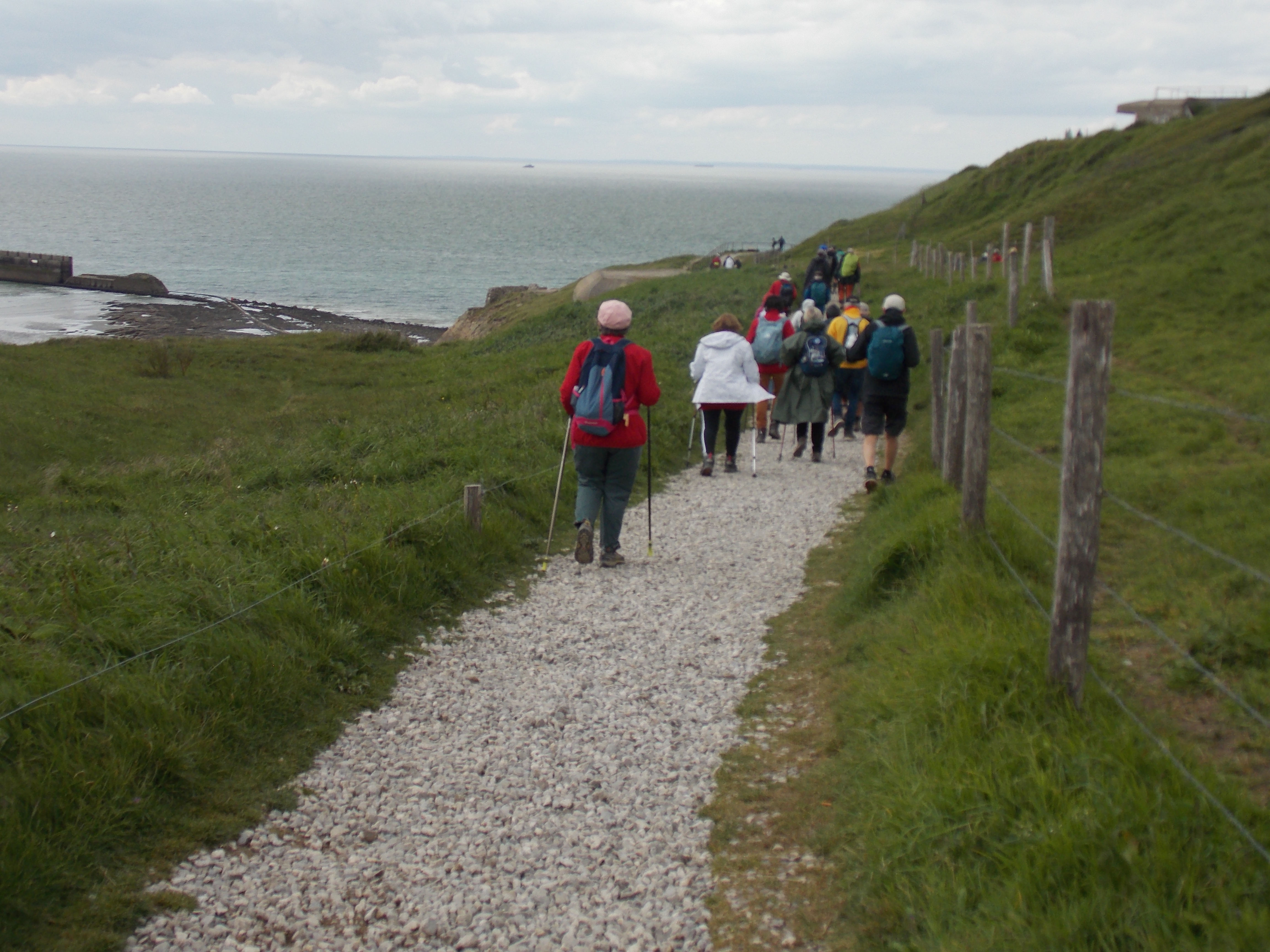 Image 15