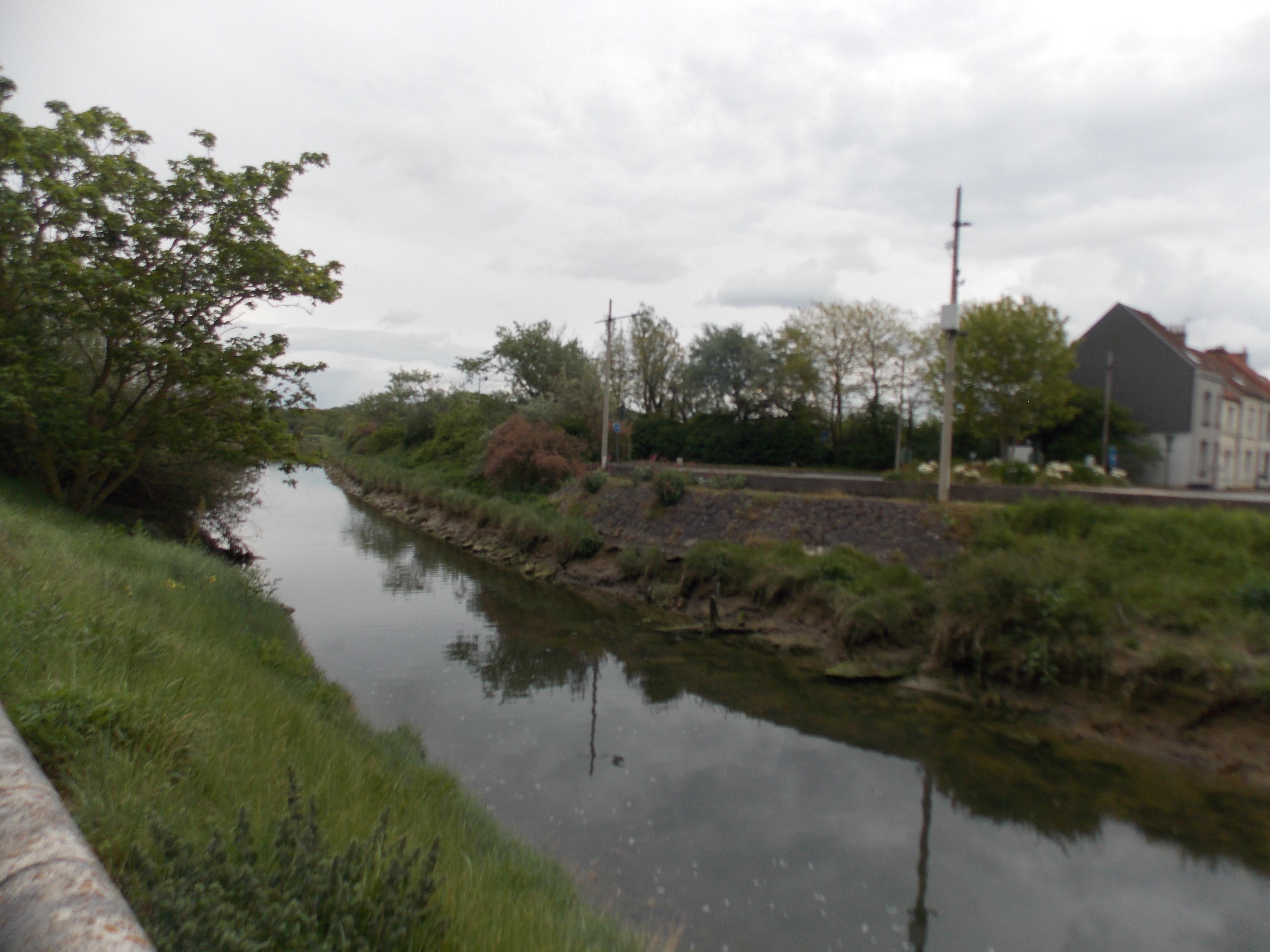 Image 266