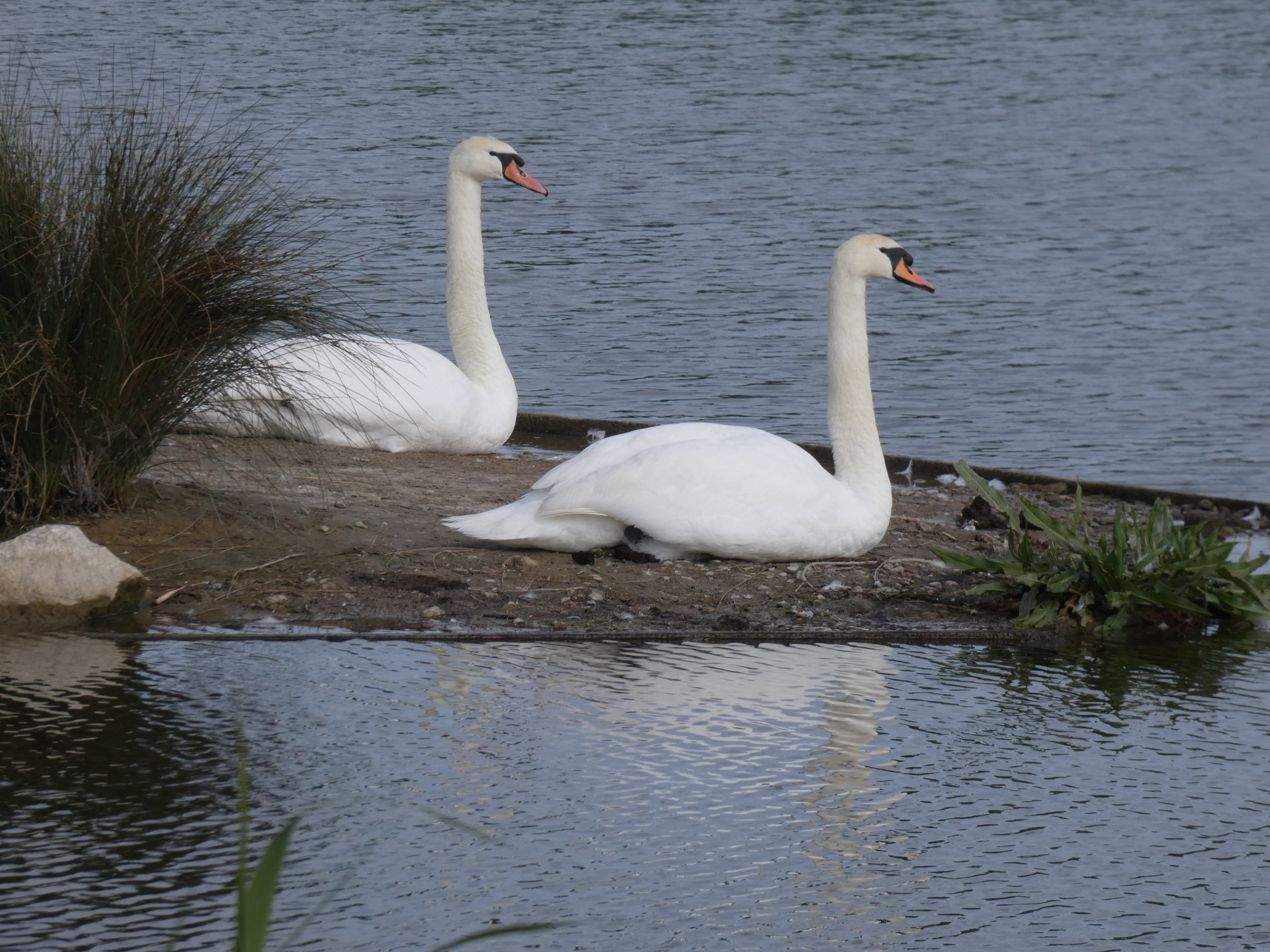 Image 129