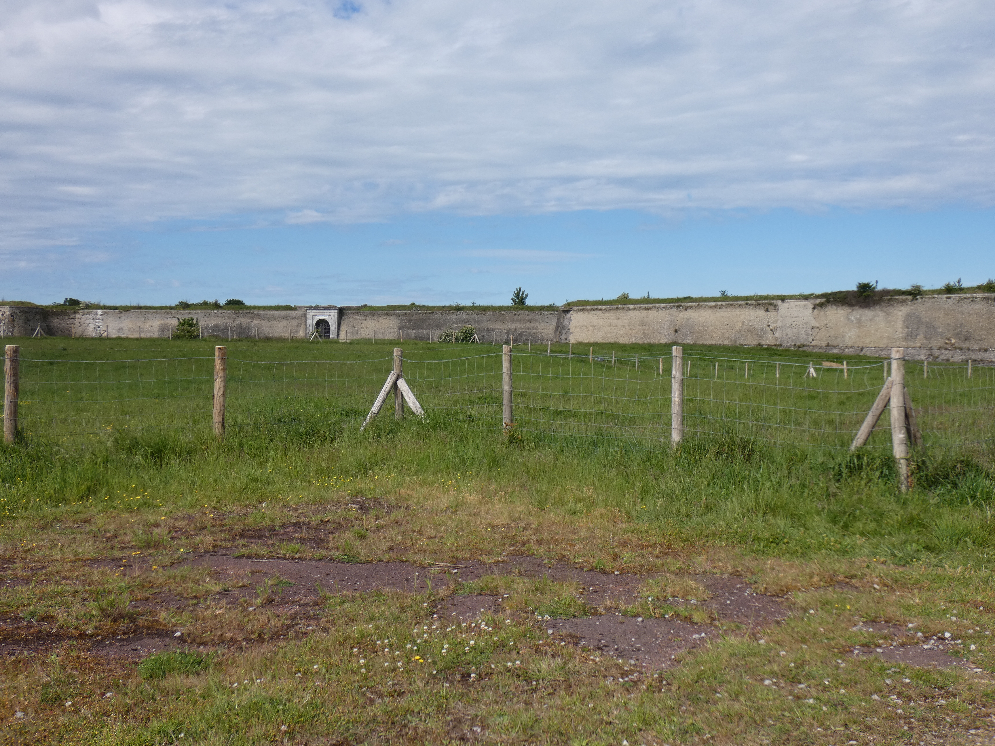 Image 205