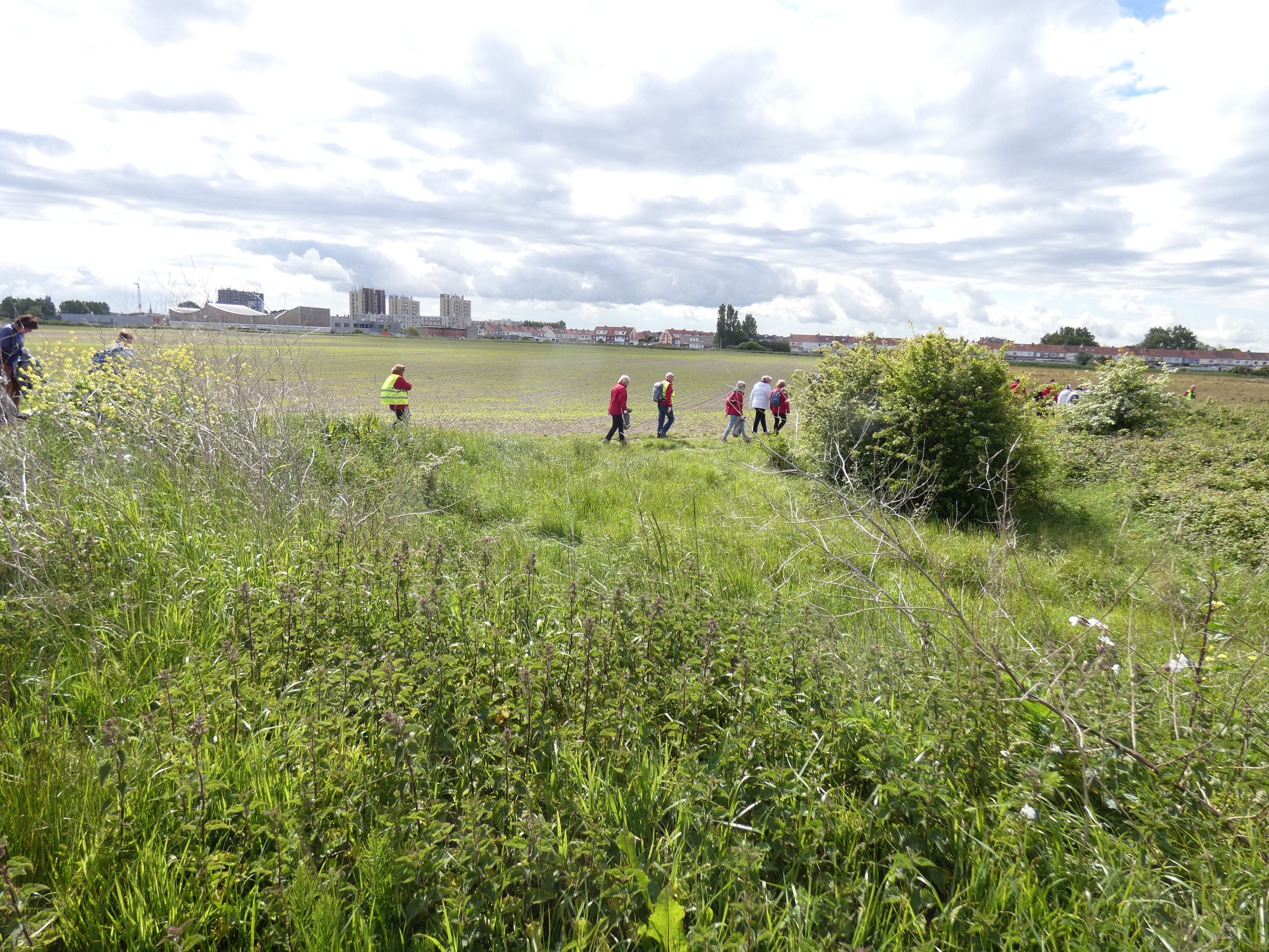 Image 116