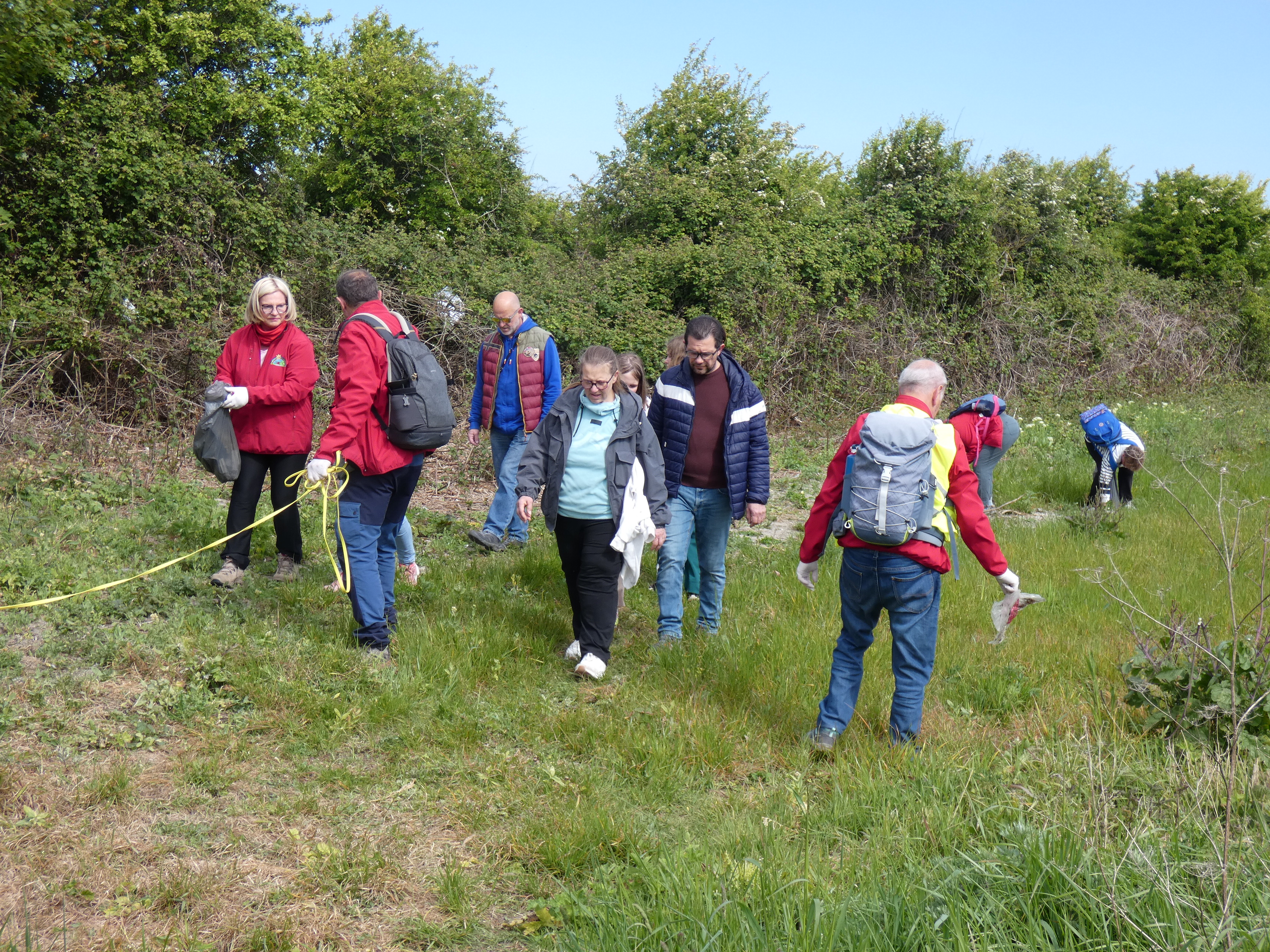 Image 137