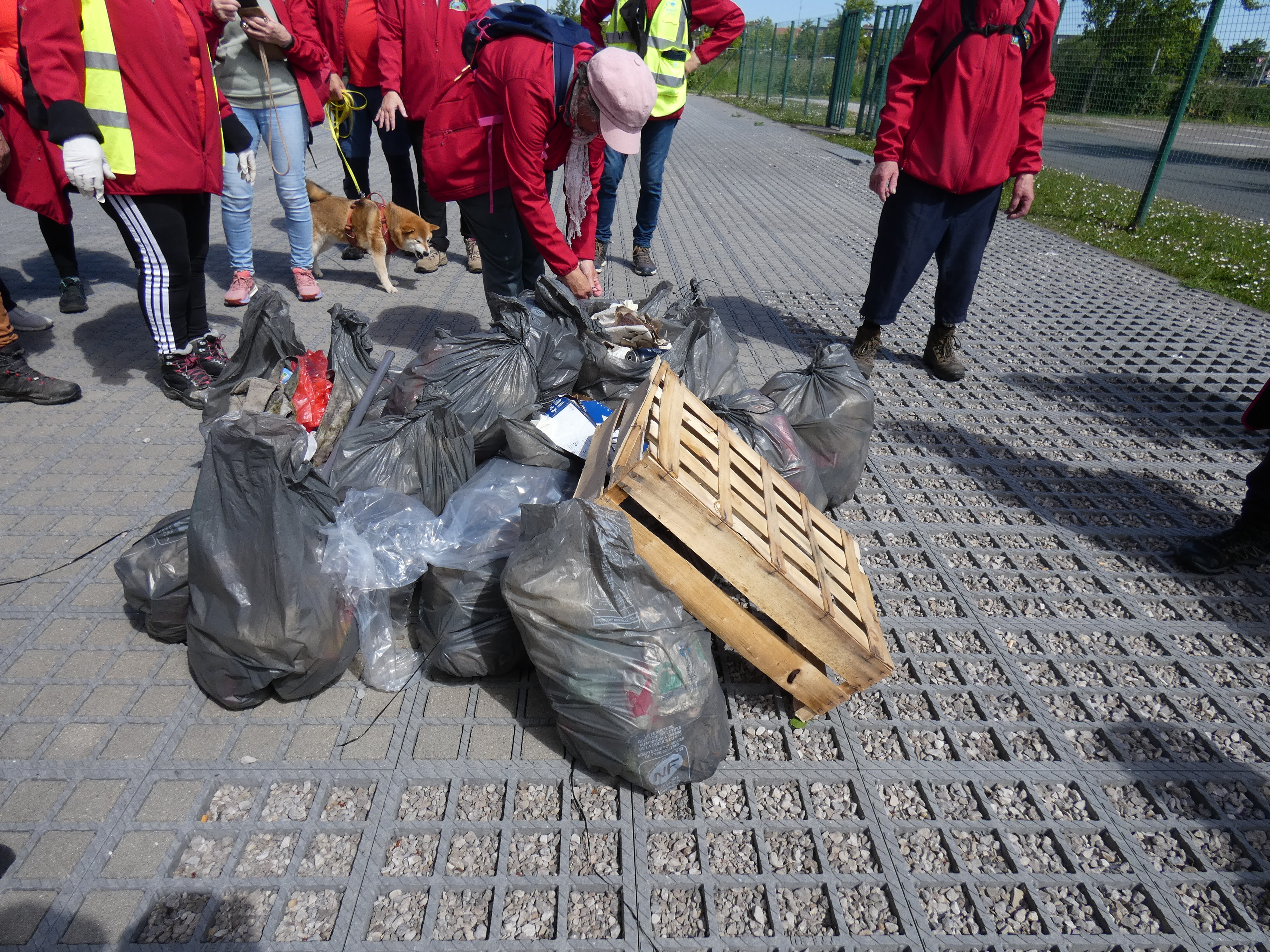 Image 101