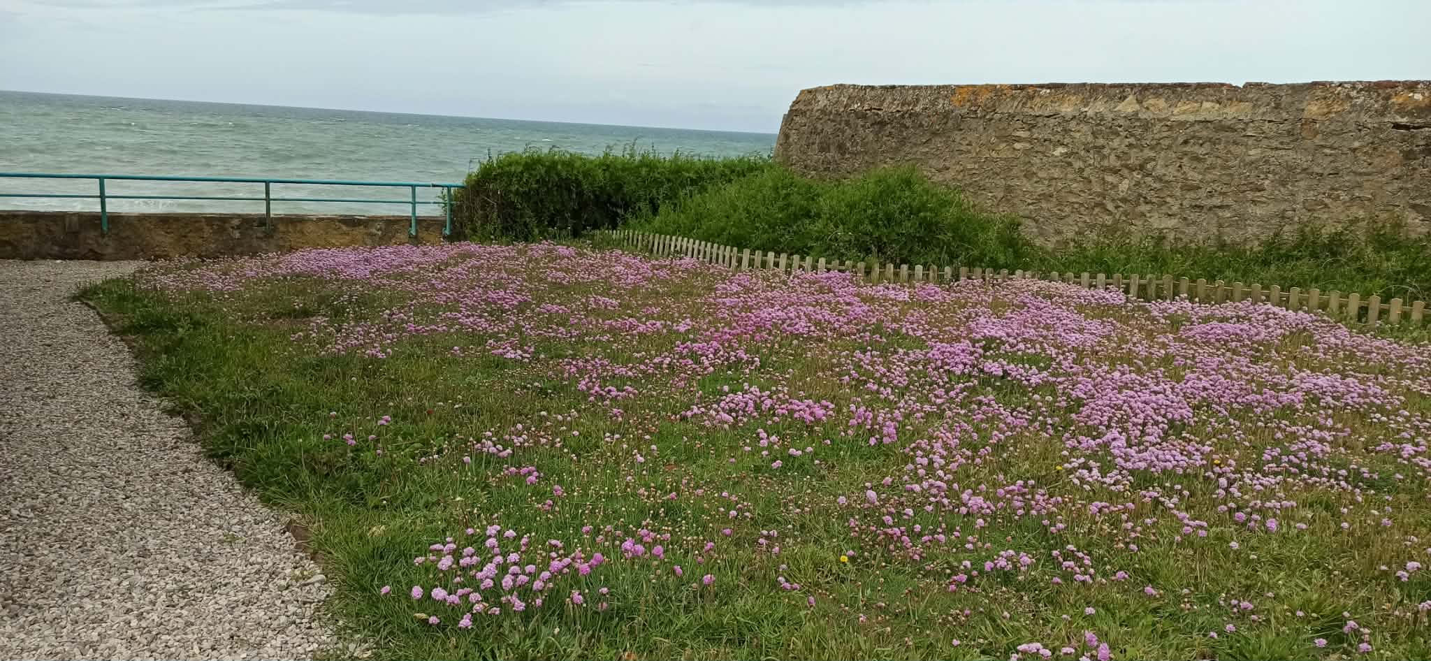 Image 146