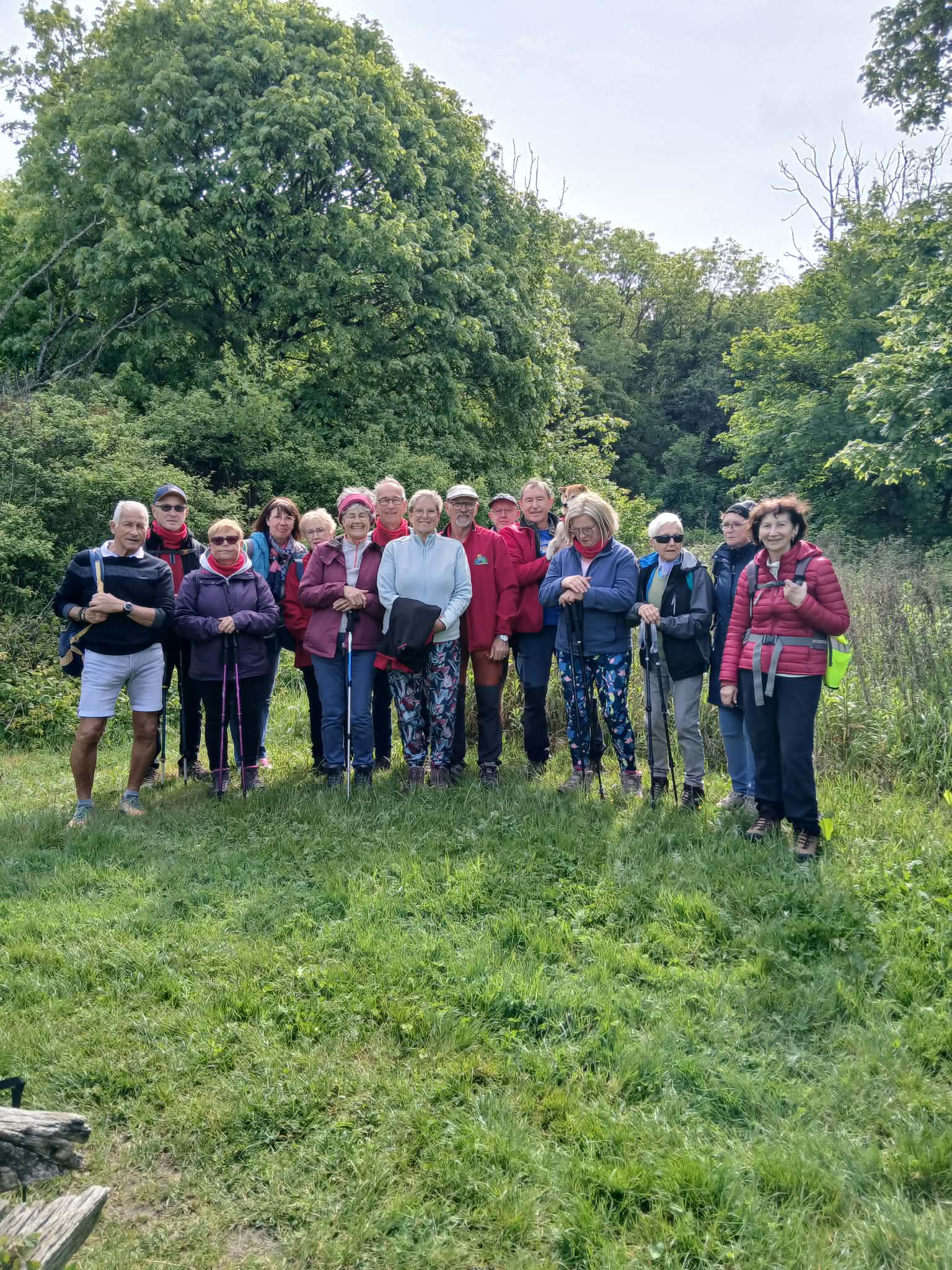 Image 13