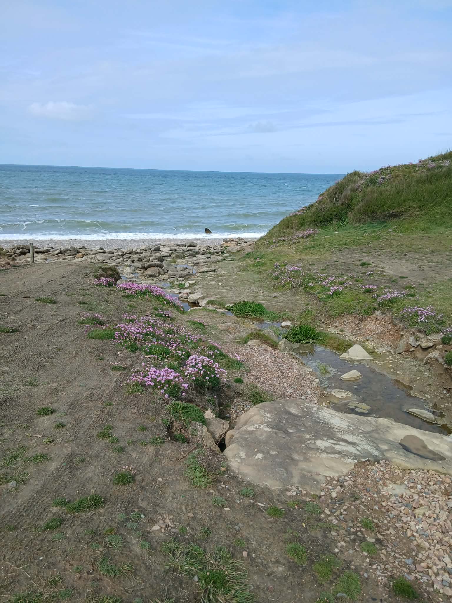 Image 51