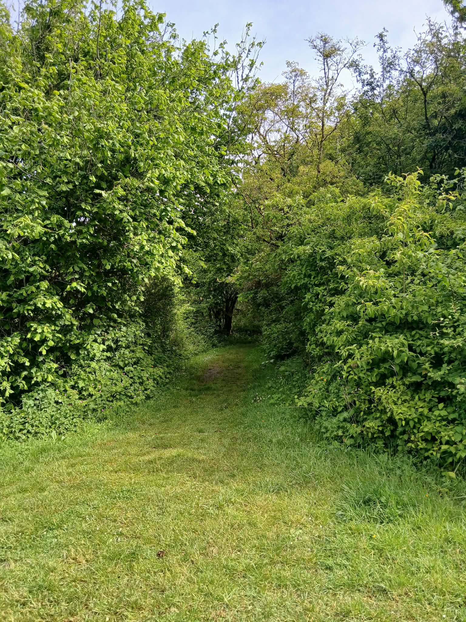 Image 68
