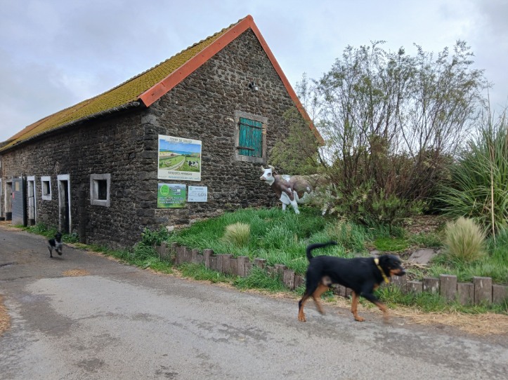Image 131
