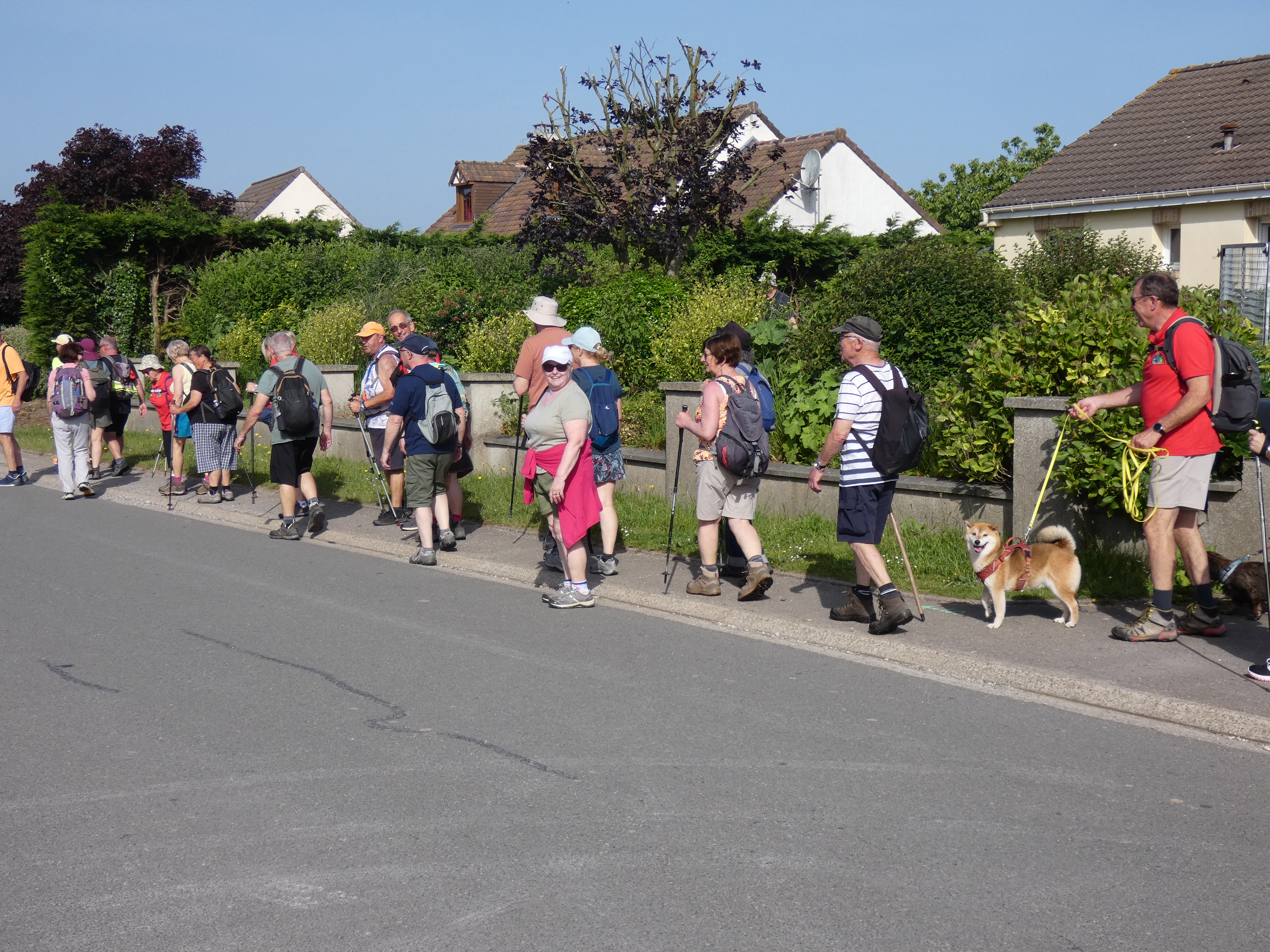 Image 278
