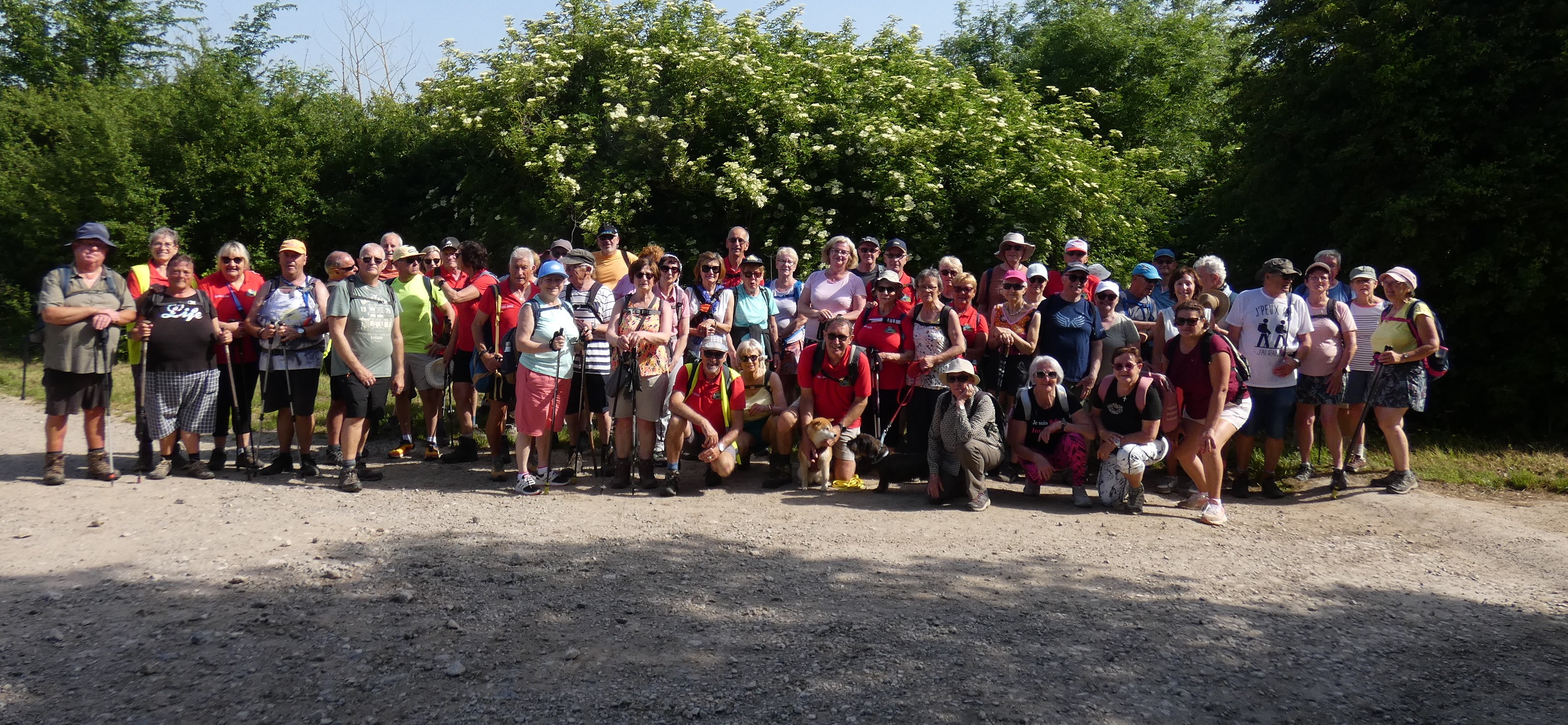 Image 132