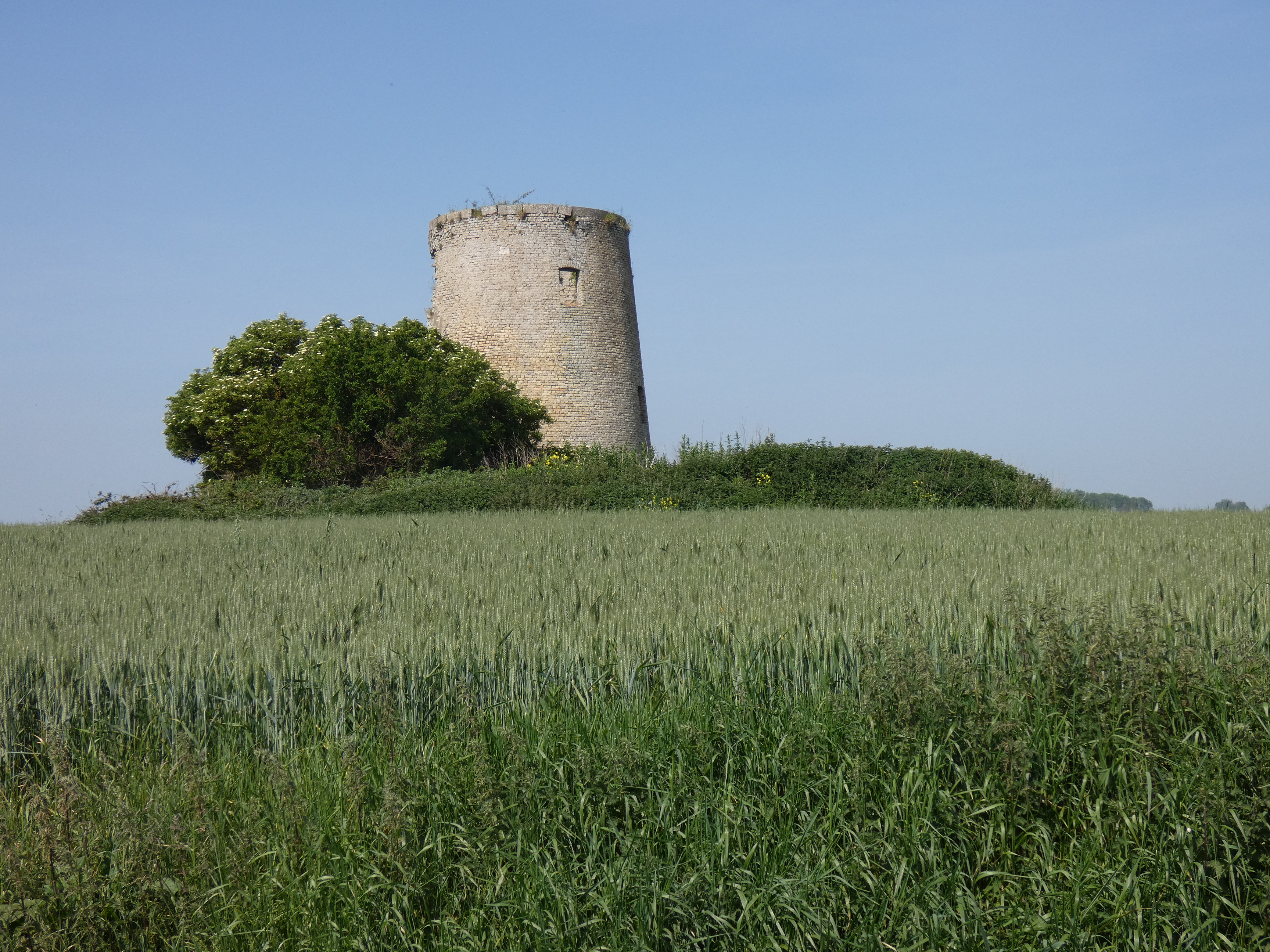 Image 172