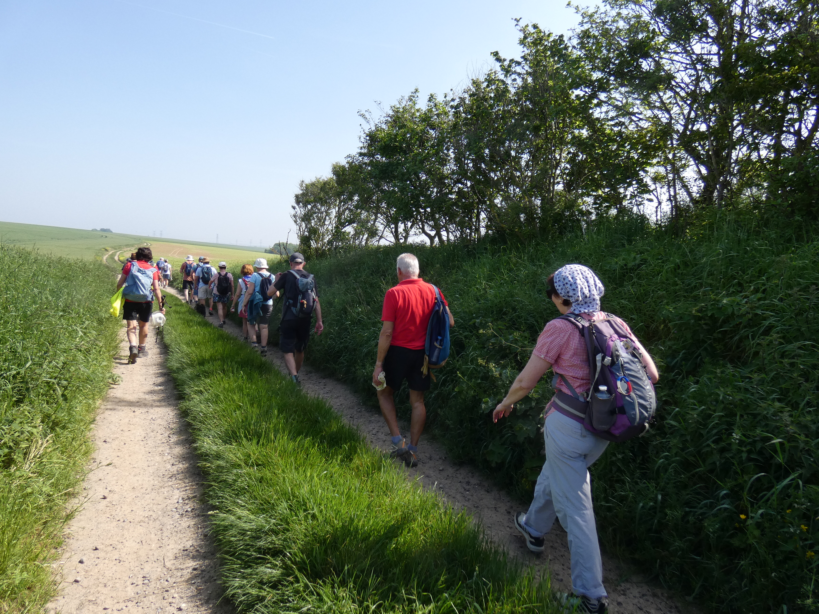 Image 120