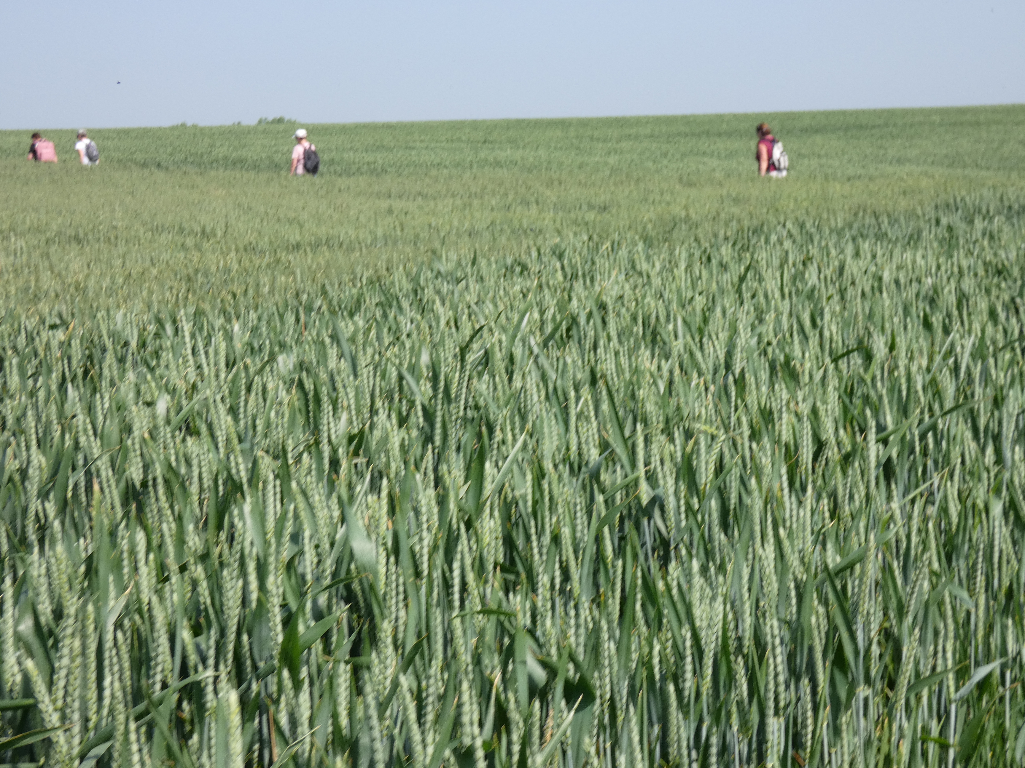 Image 170