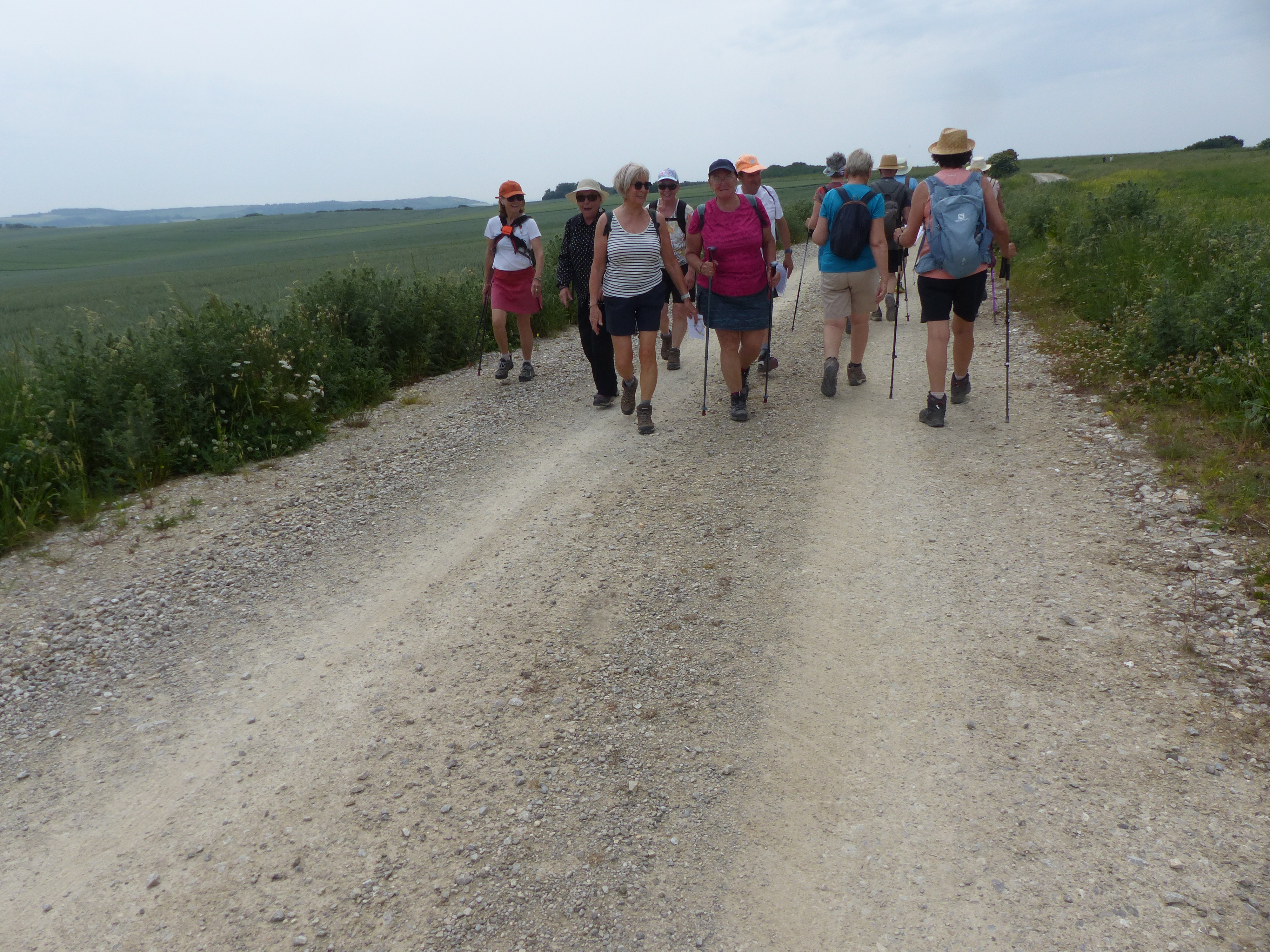 Image 14