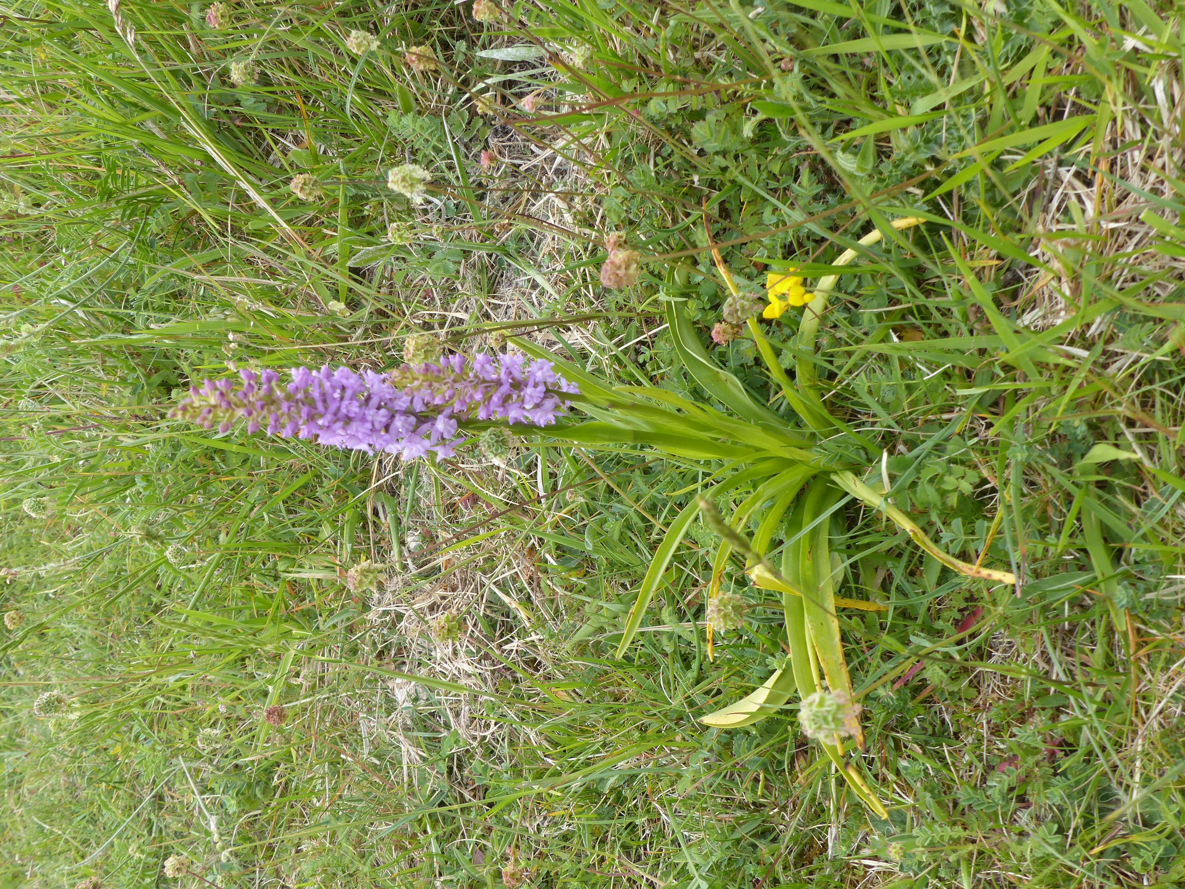 Image 158