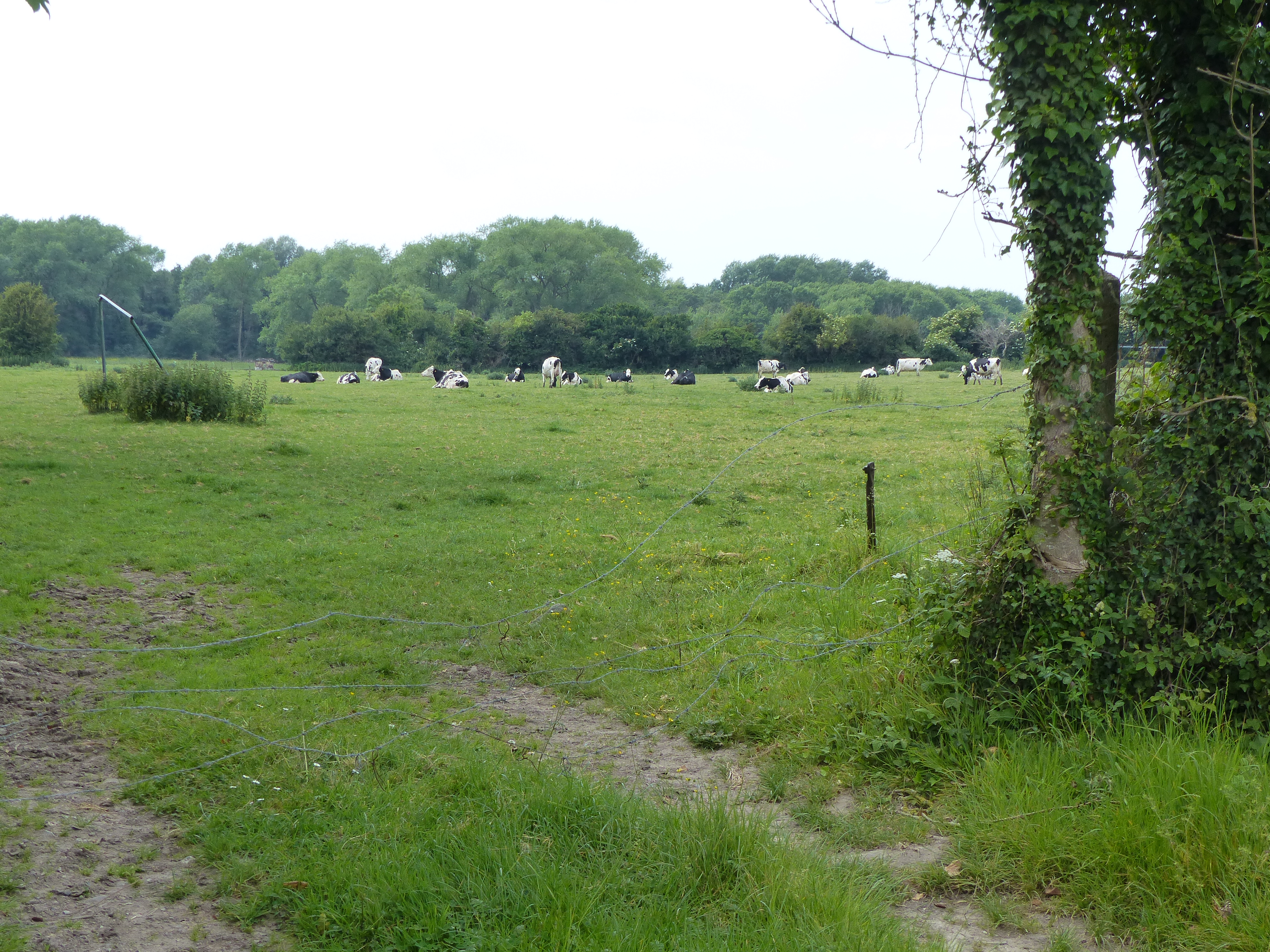 Image 110
