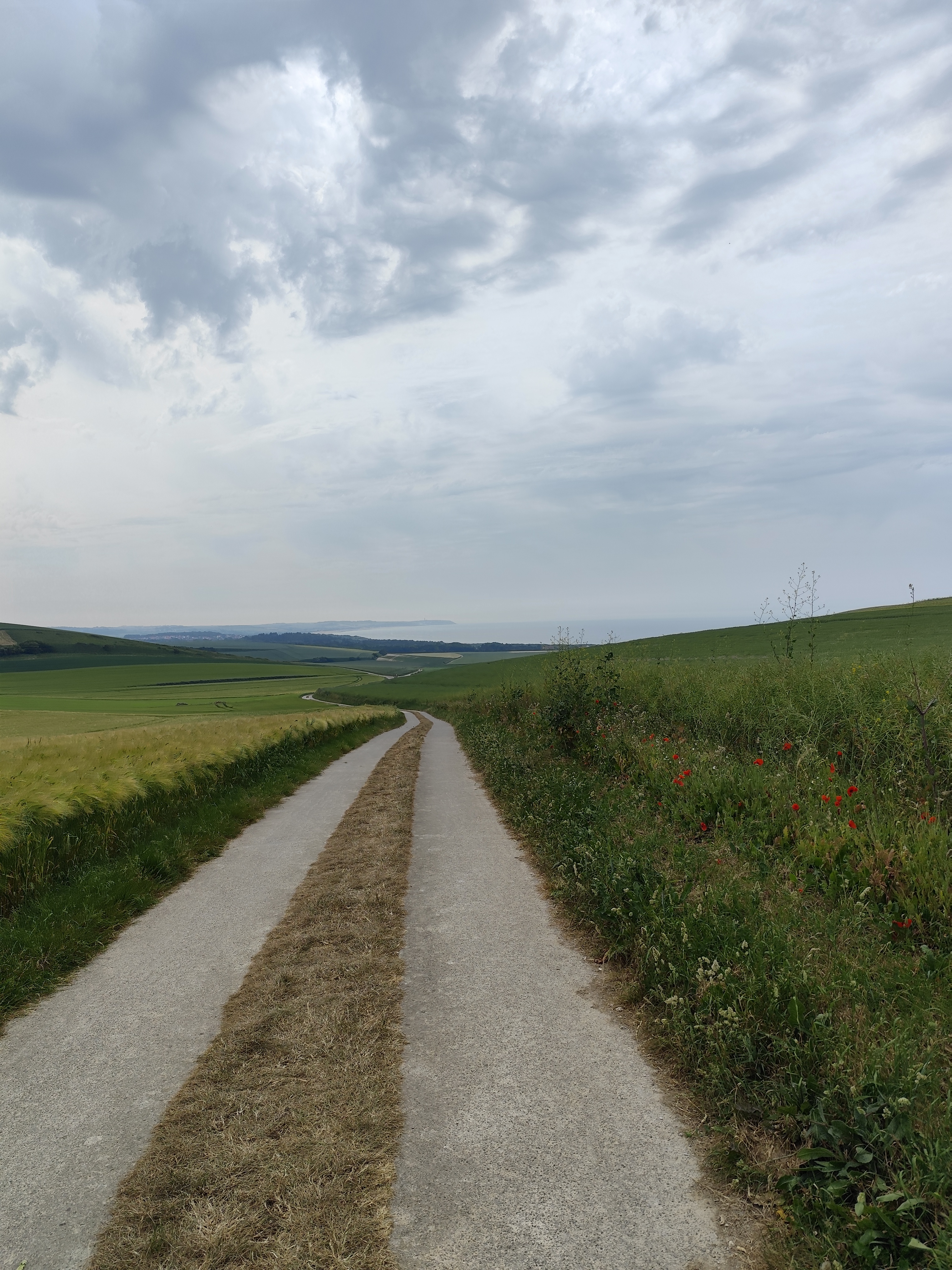 Image 31
