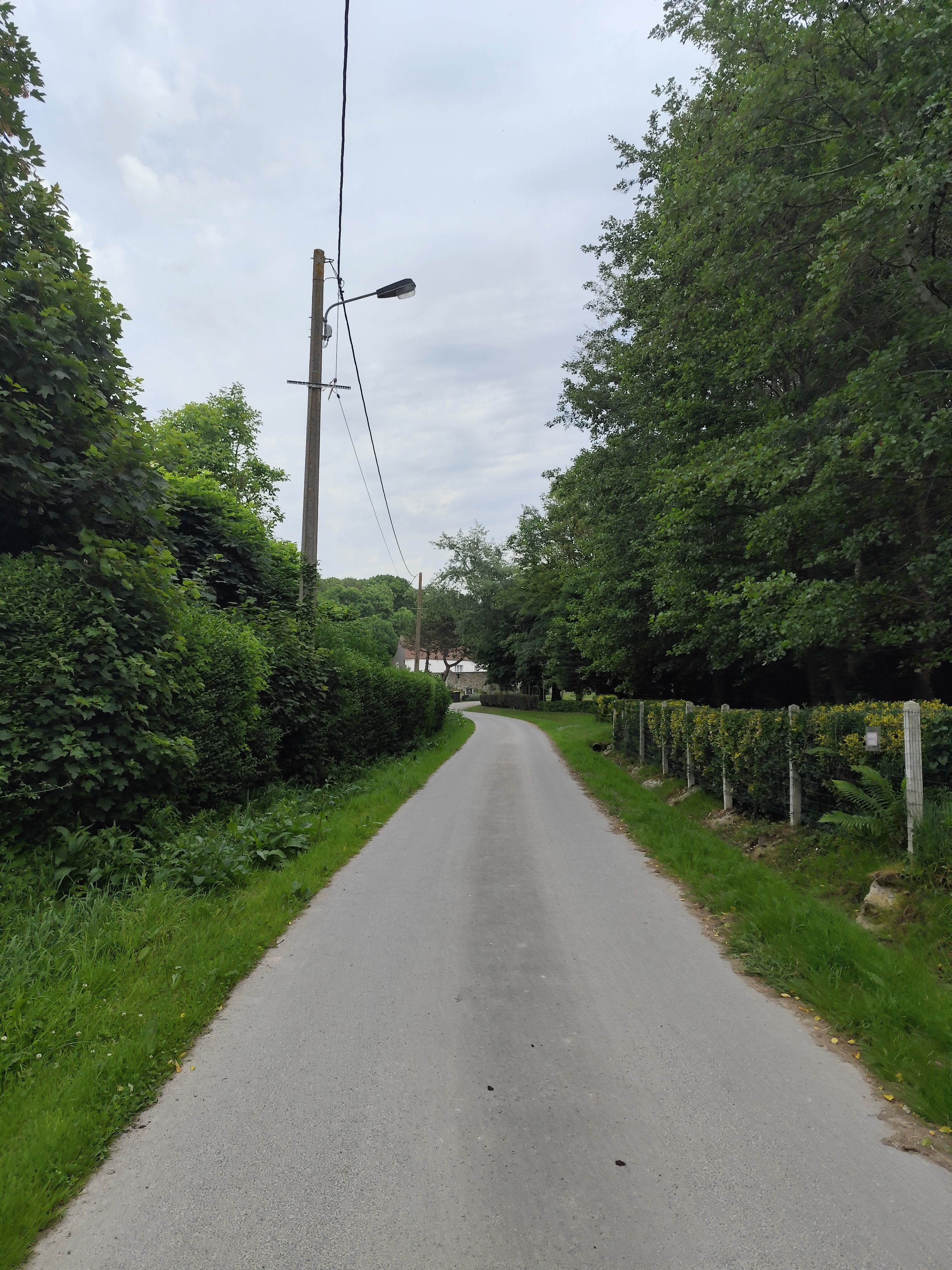 Image 29