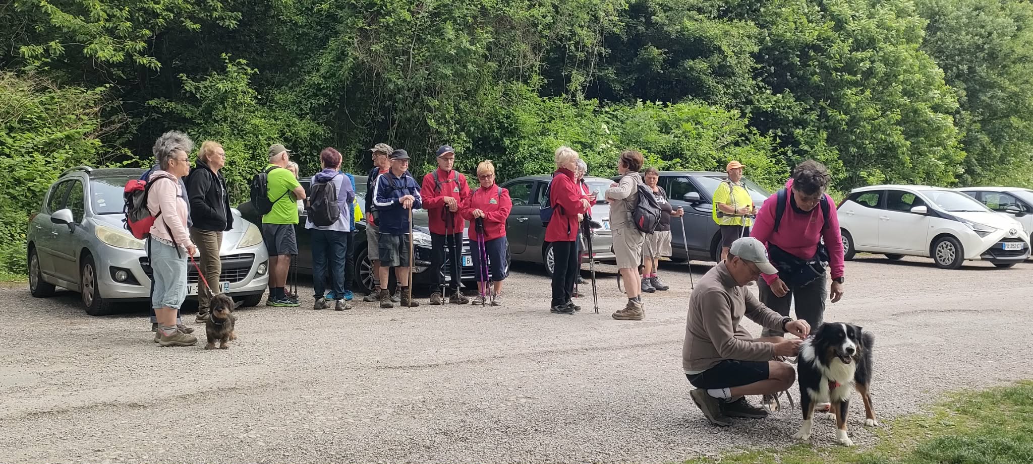 Image 60