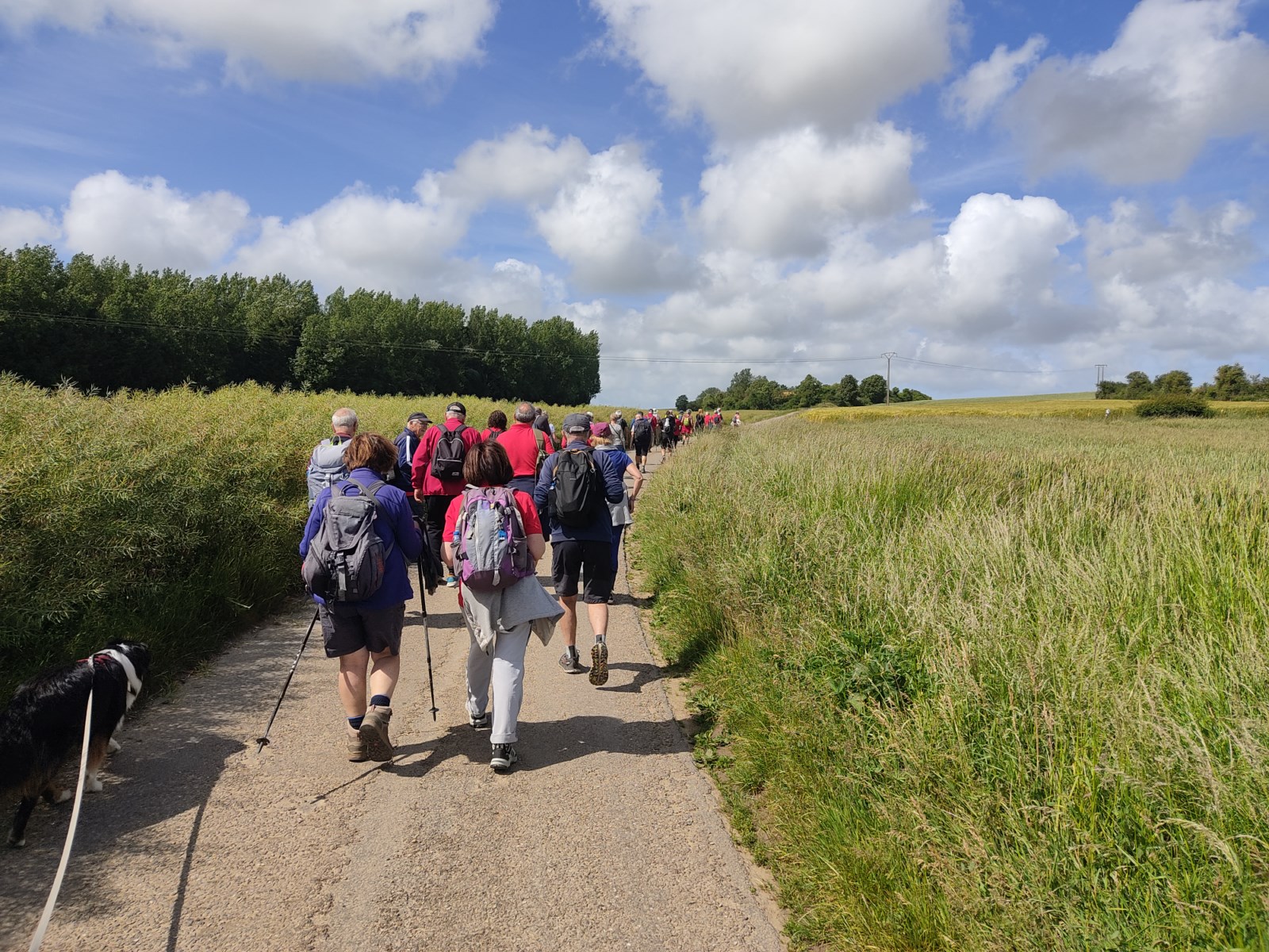 Image 97