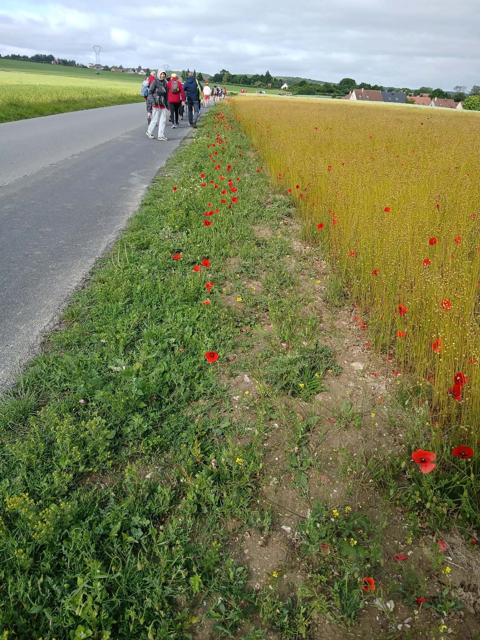 Image 203