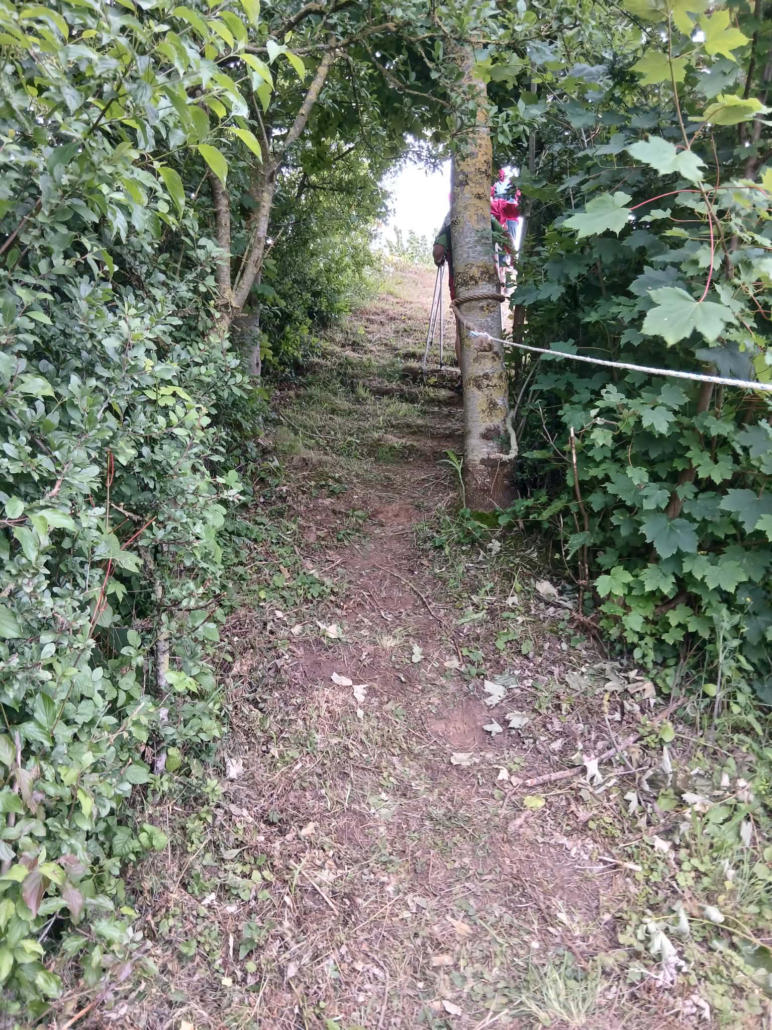 Image 126