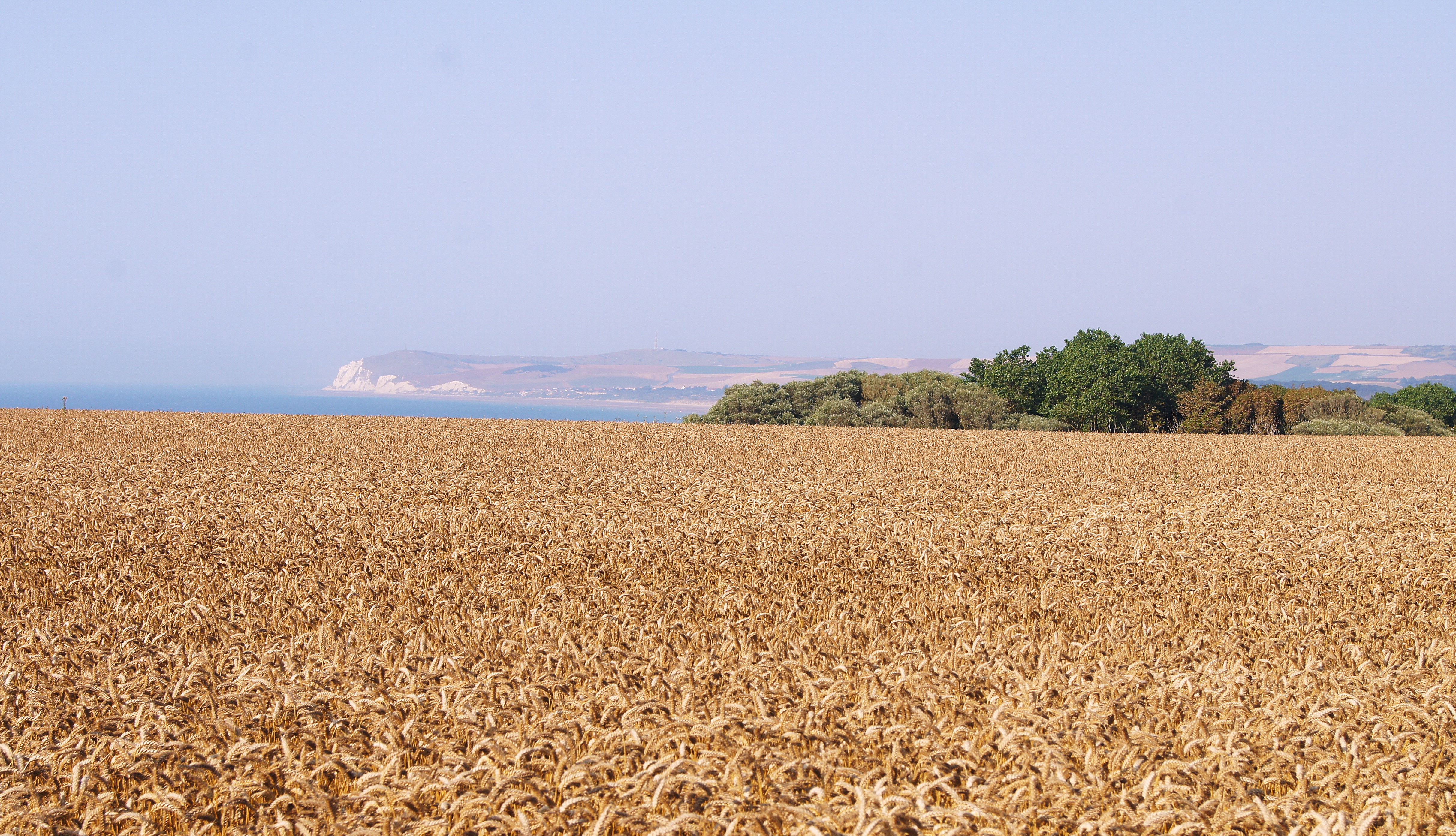 Image 91