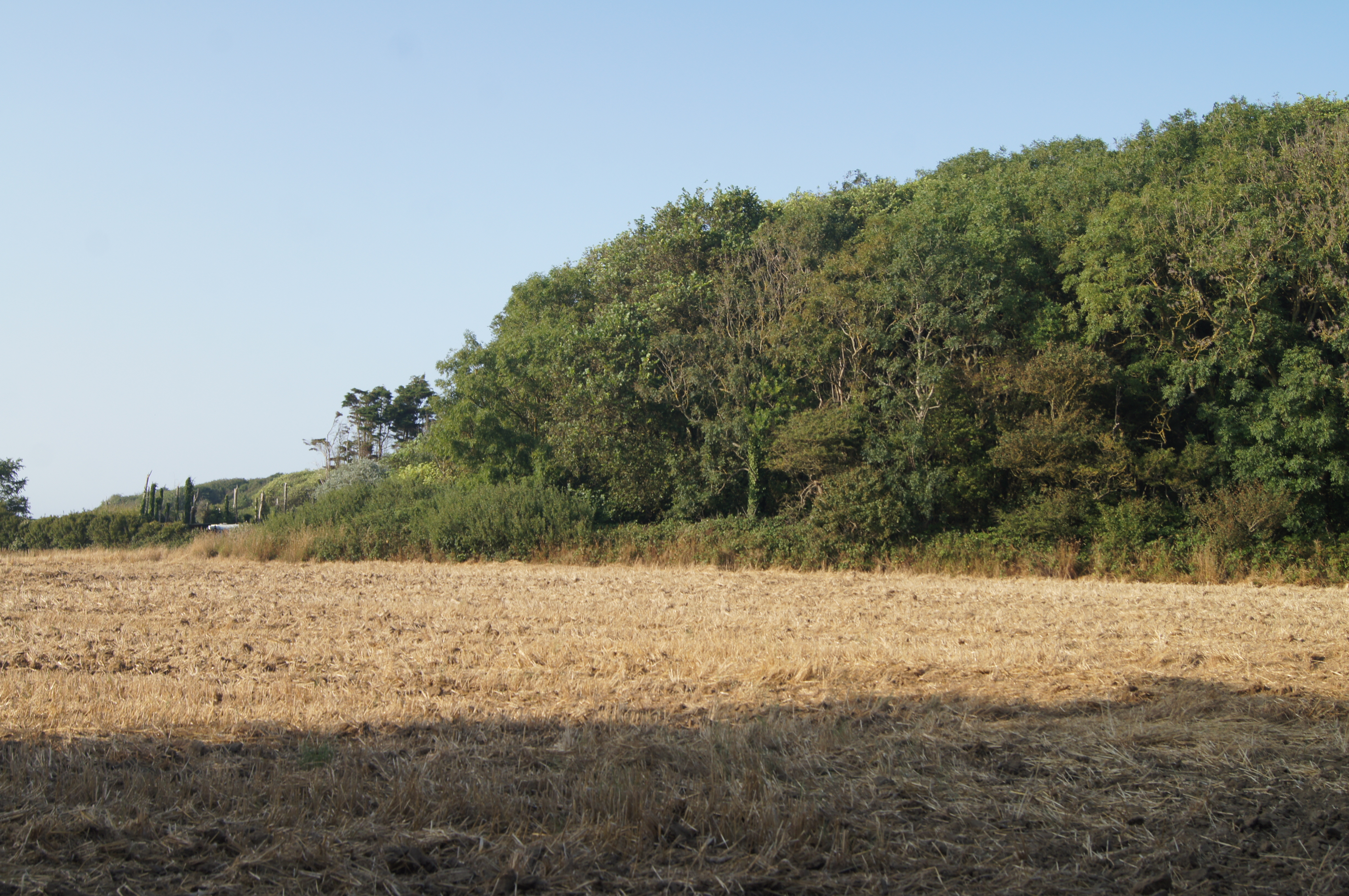Image 95