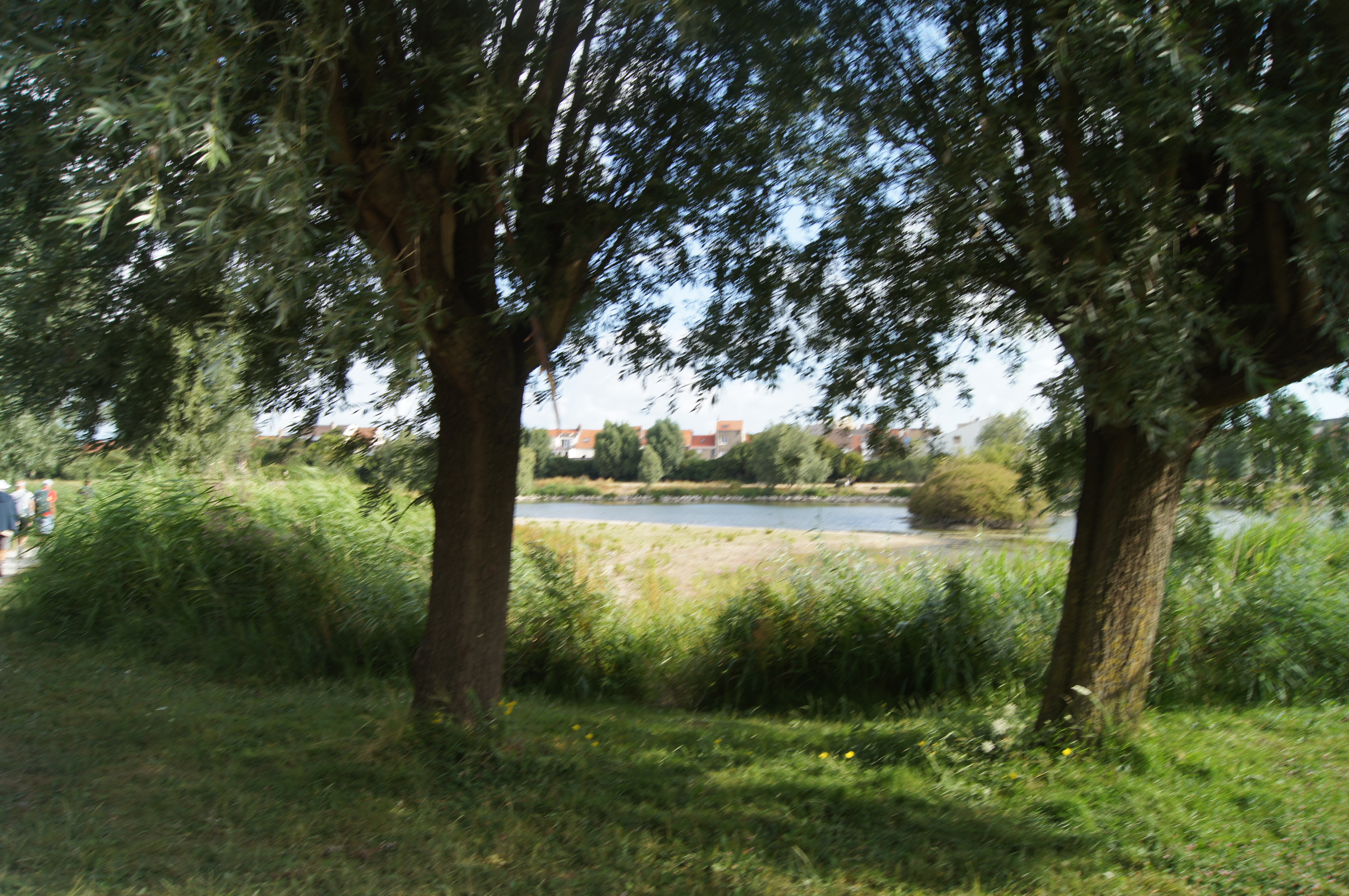 Image 133