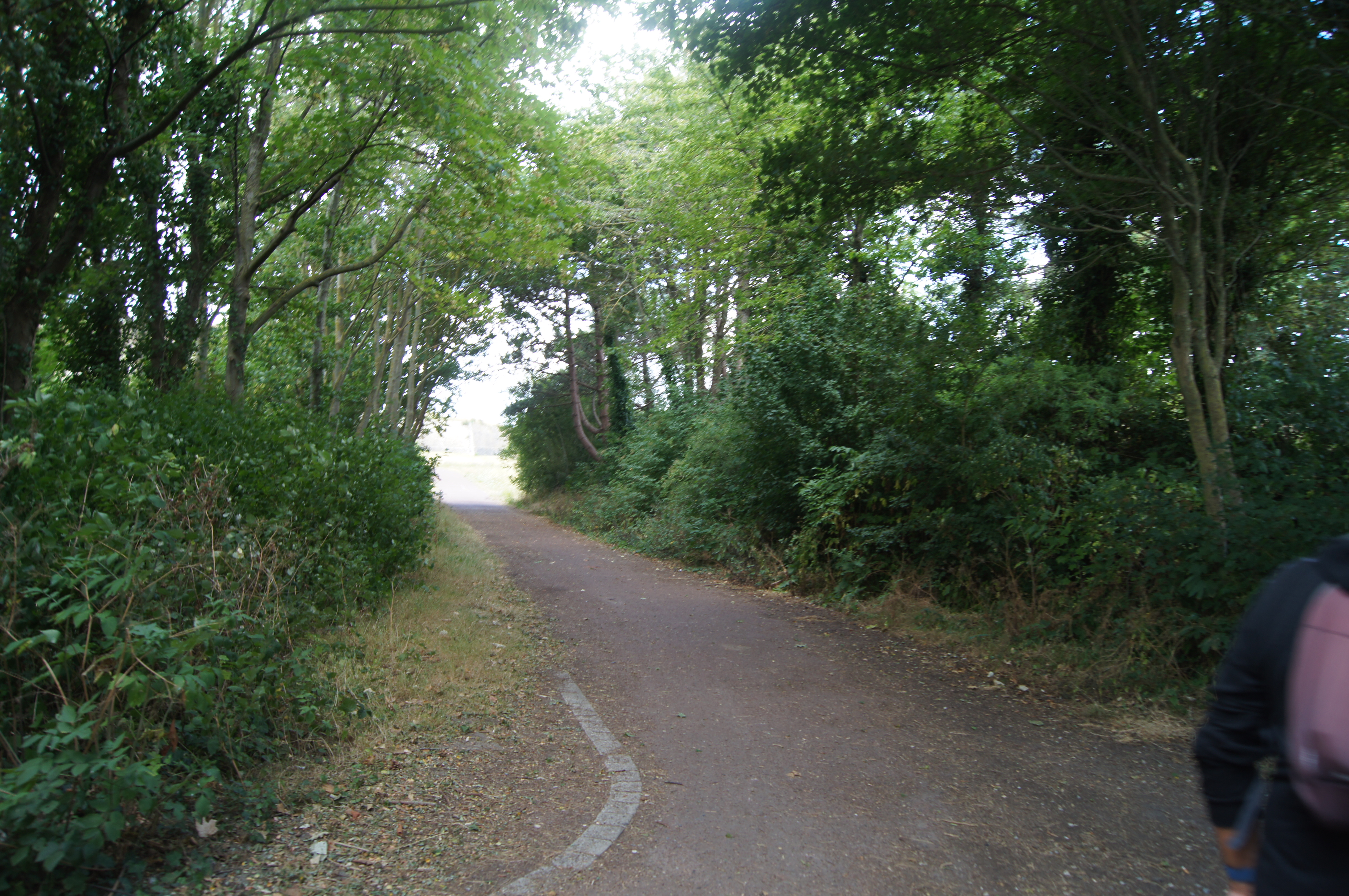 Image 92
