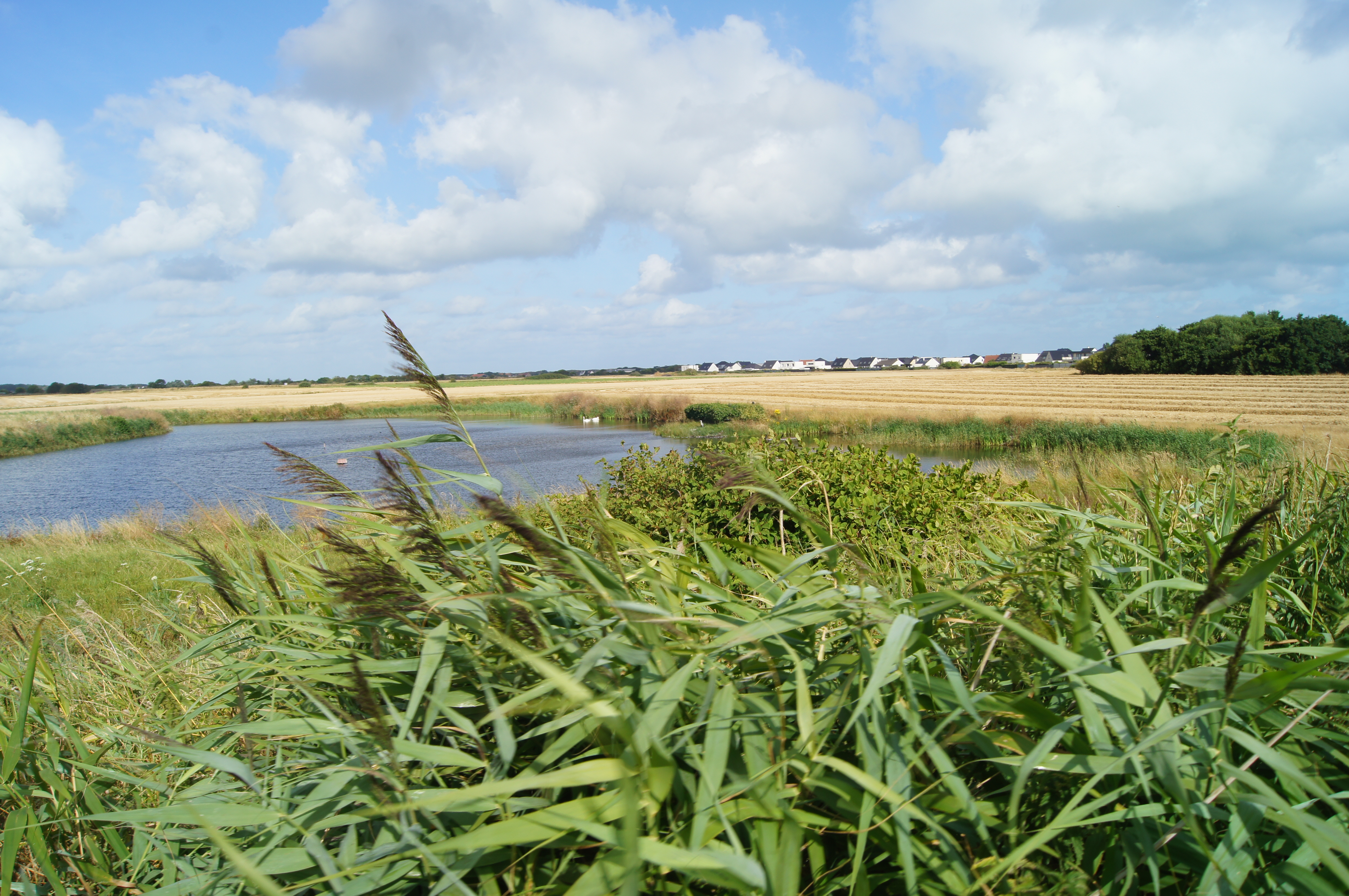 Image 65