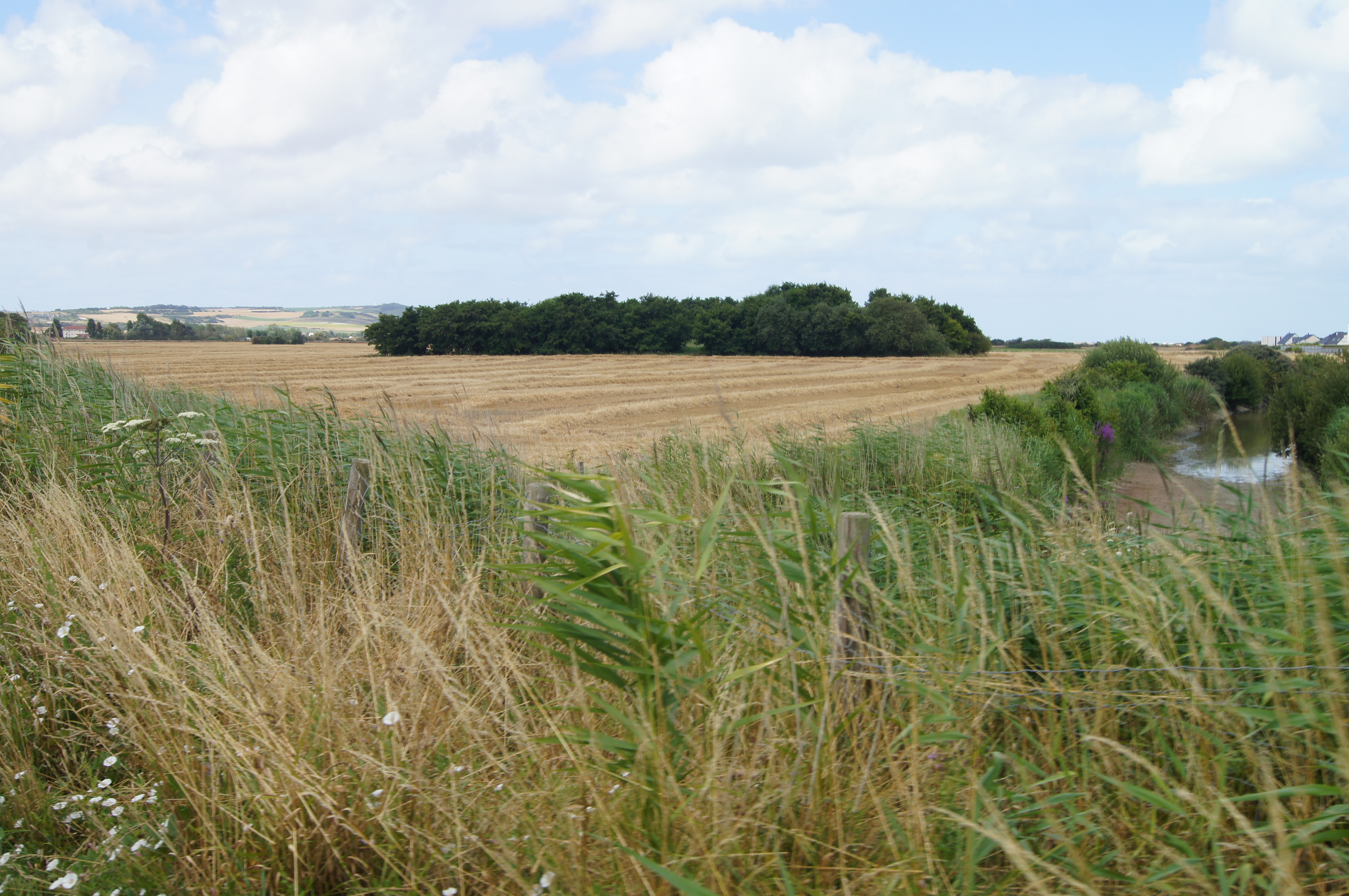 Image 256