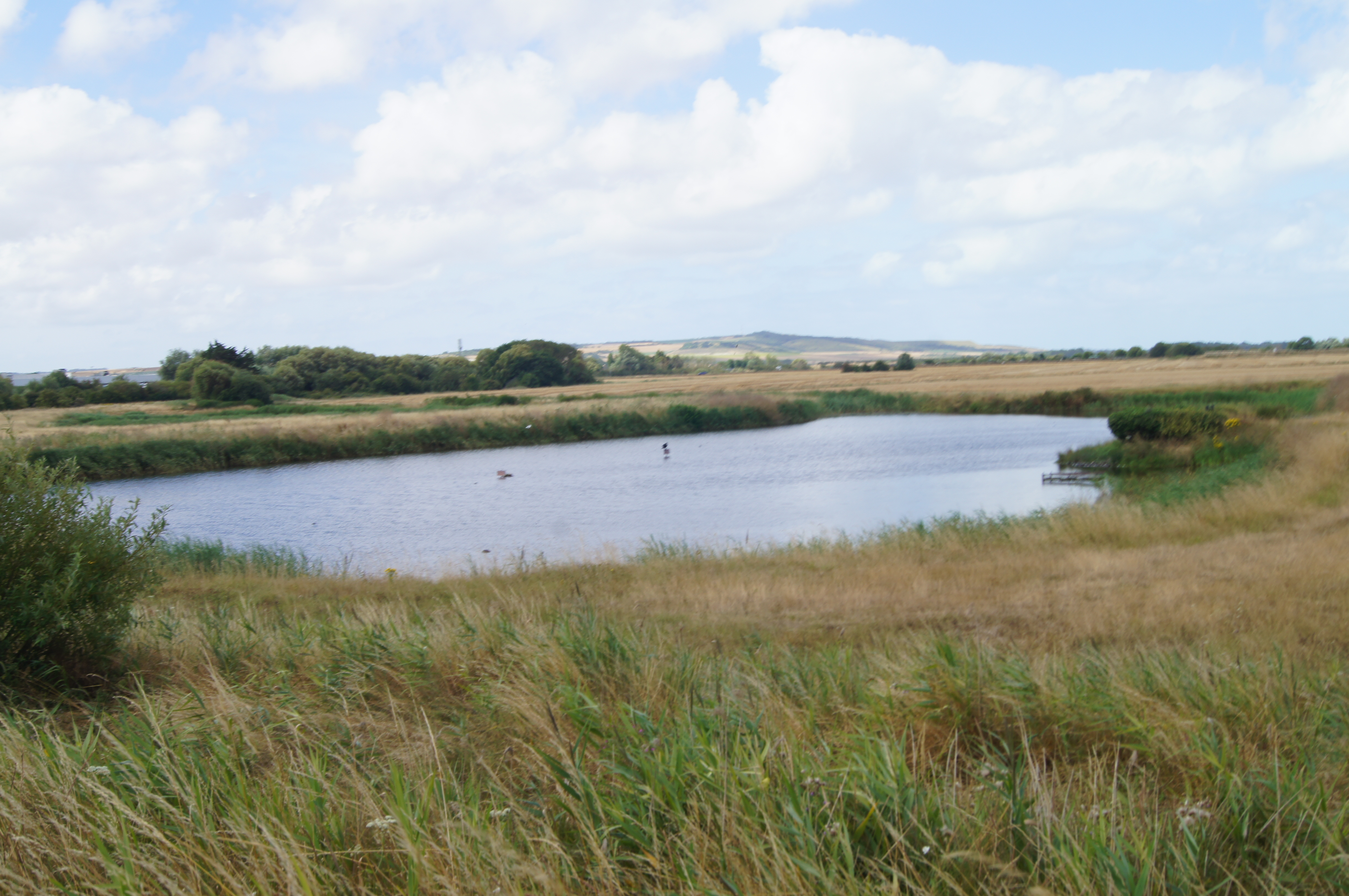 Image 63