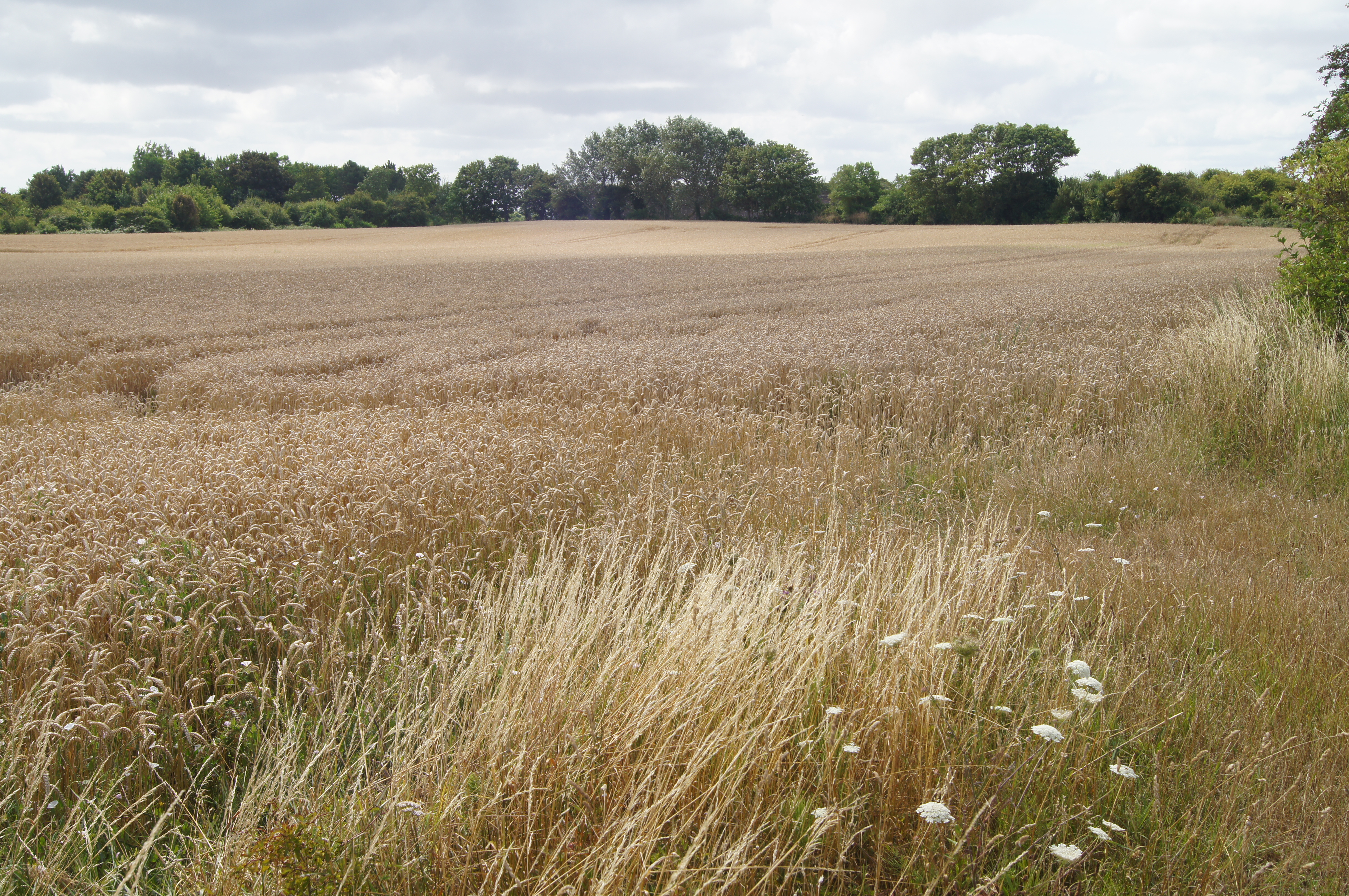 Image 179