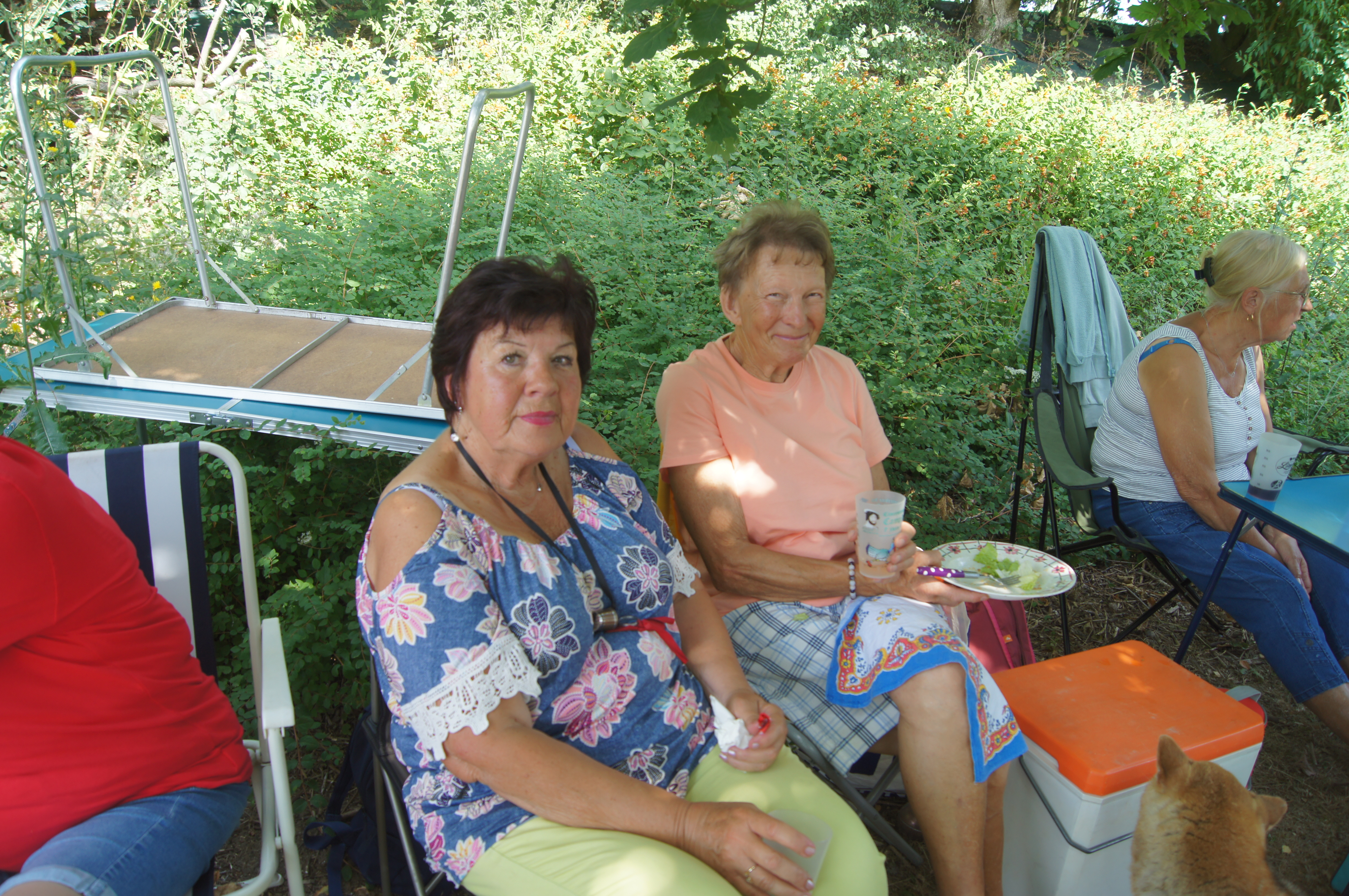 Image 44
