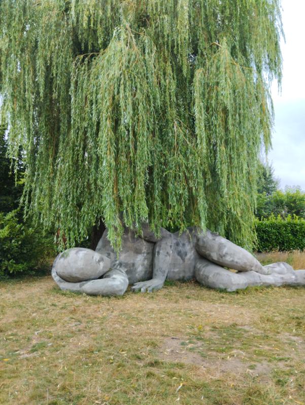 Image 223