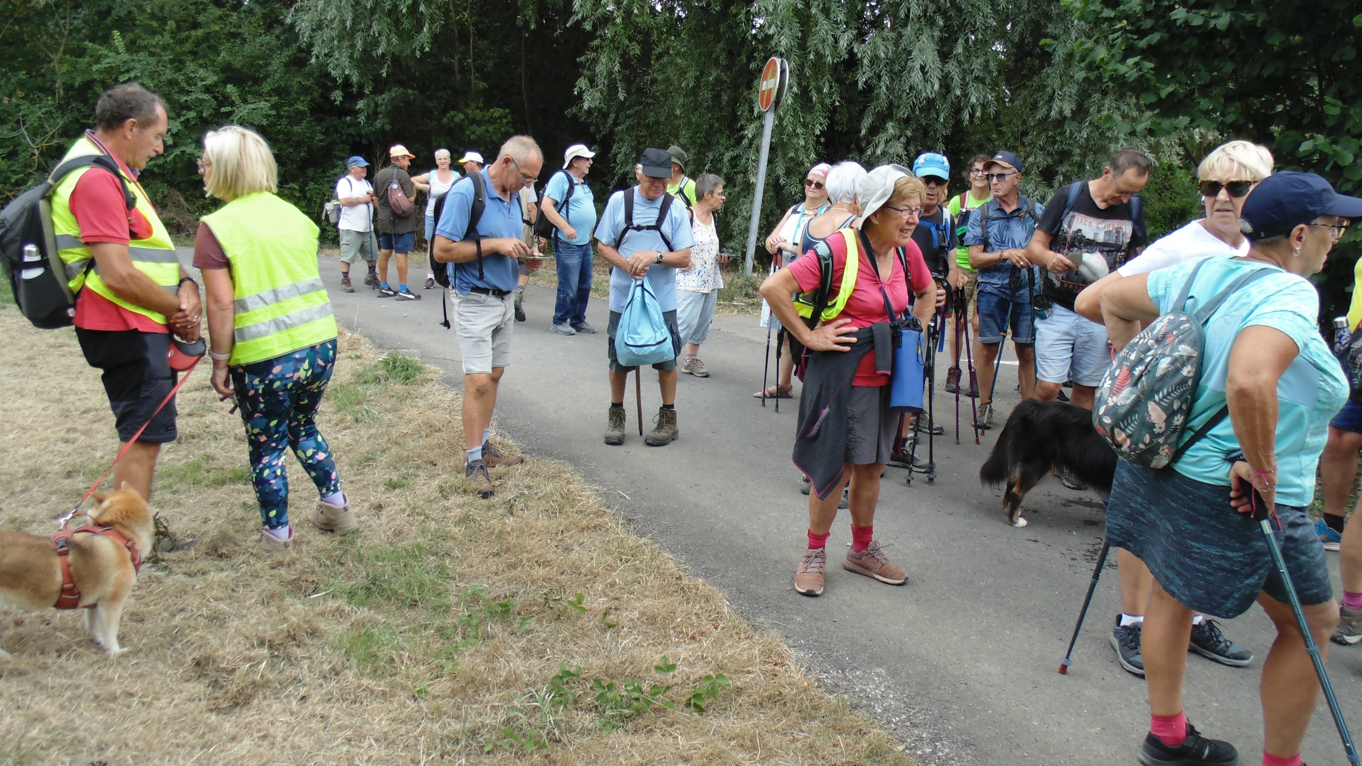 Image 204