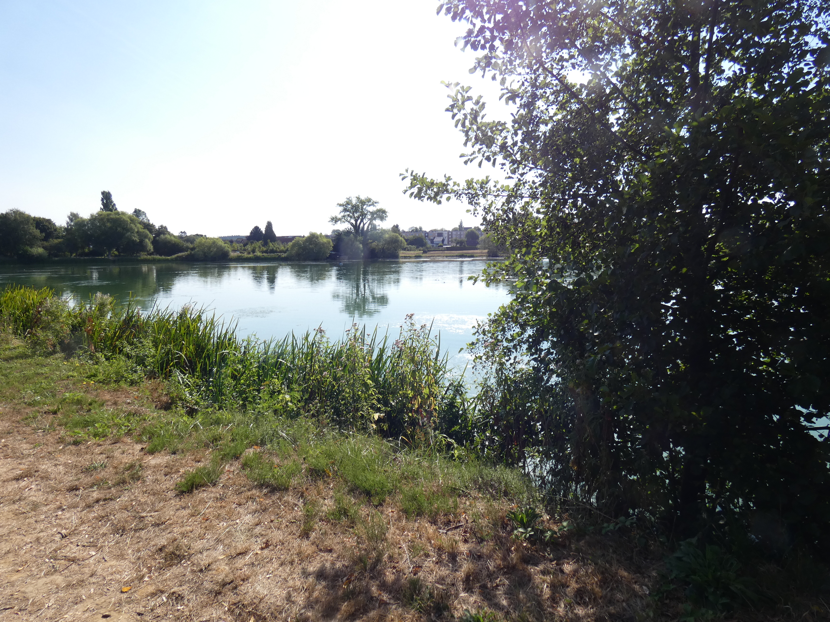 Image 6